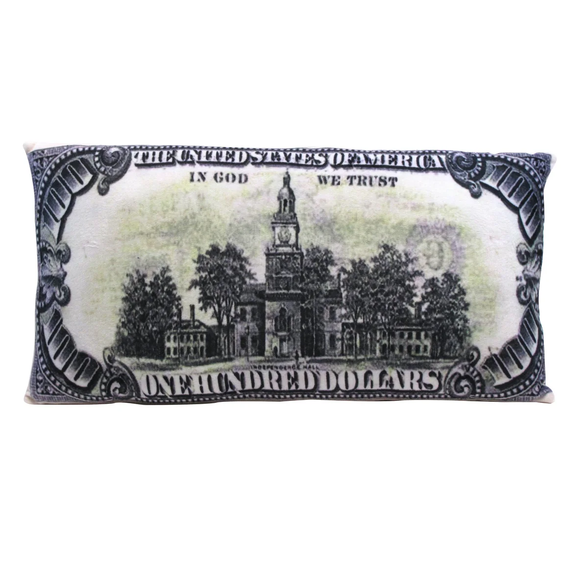$100 Bill One Hundred Dollar Money Fluffy Plush Throw Pillow Decorative Cushion - Image 2