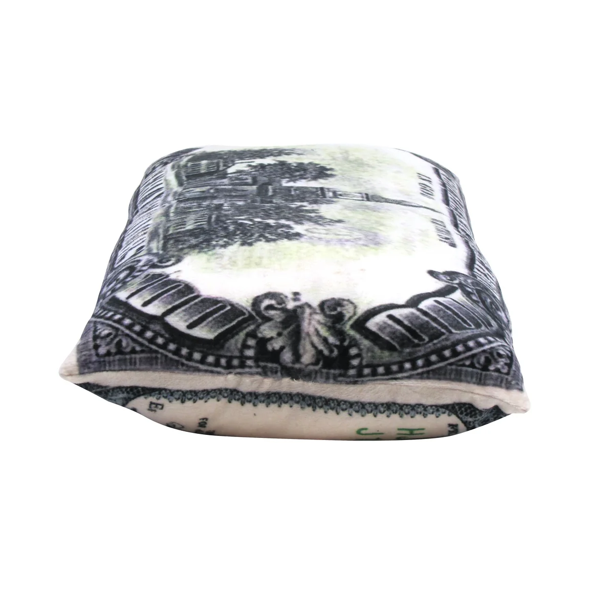 $100 Bill One Hundred Dollar Money Fluffy Plush Throw Pillow Decorative Cushion - Image 3
