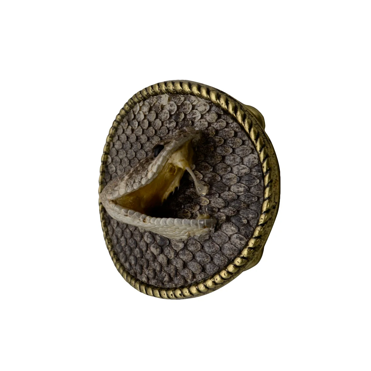 100% Real Eastern Diamondback Rattlesnake Head Hook&Loop Men's Belt Buckle - Image 2