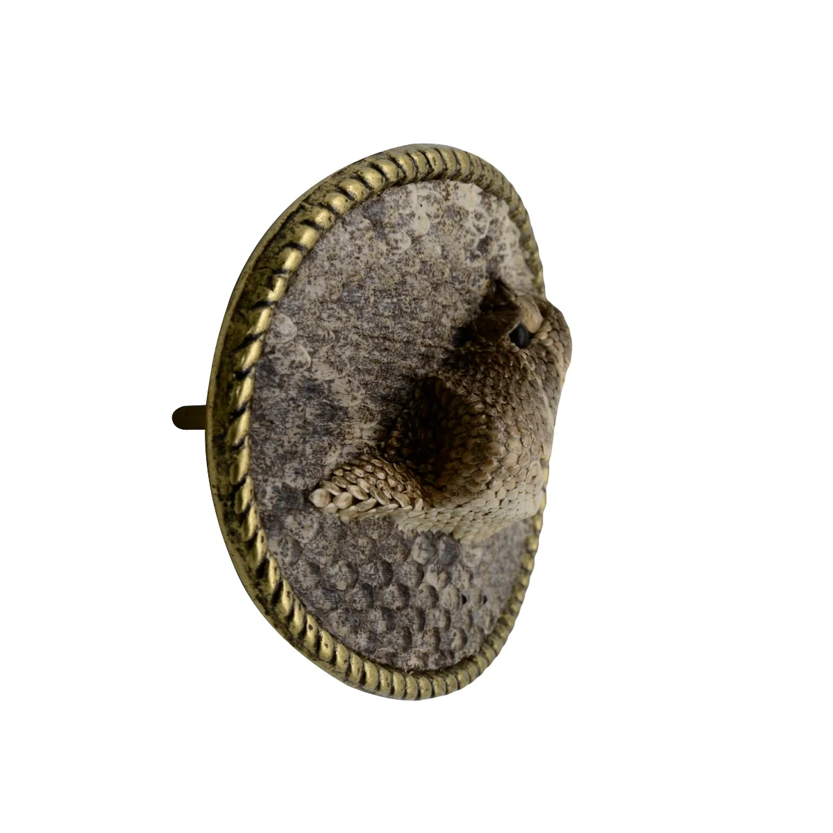 100% Real Eastern Diamondback Rattlesnake Head Hook&Loop Men's Belt Buckle - Image 3