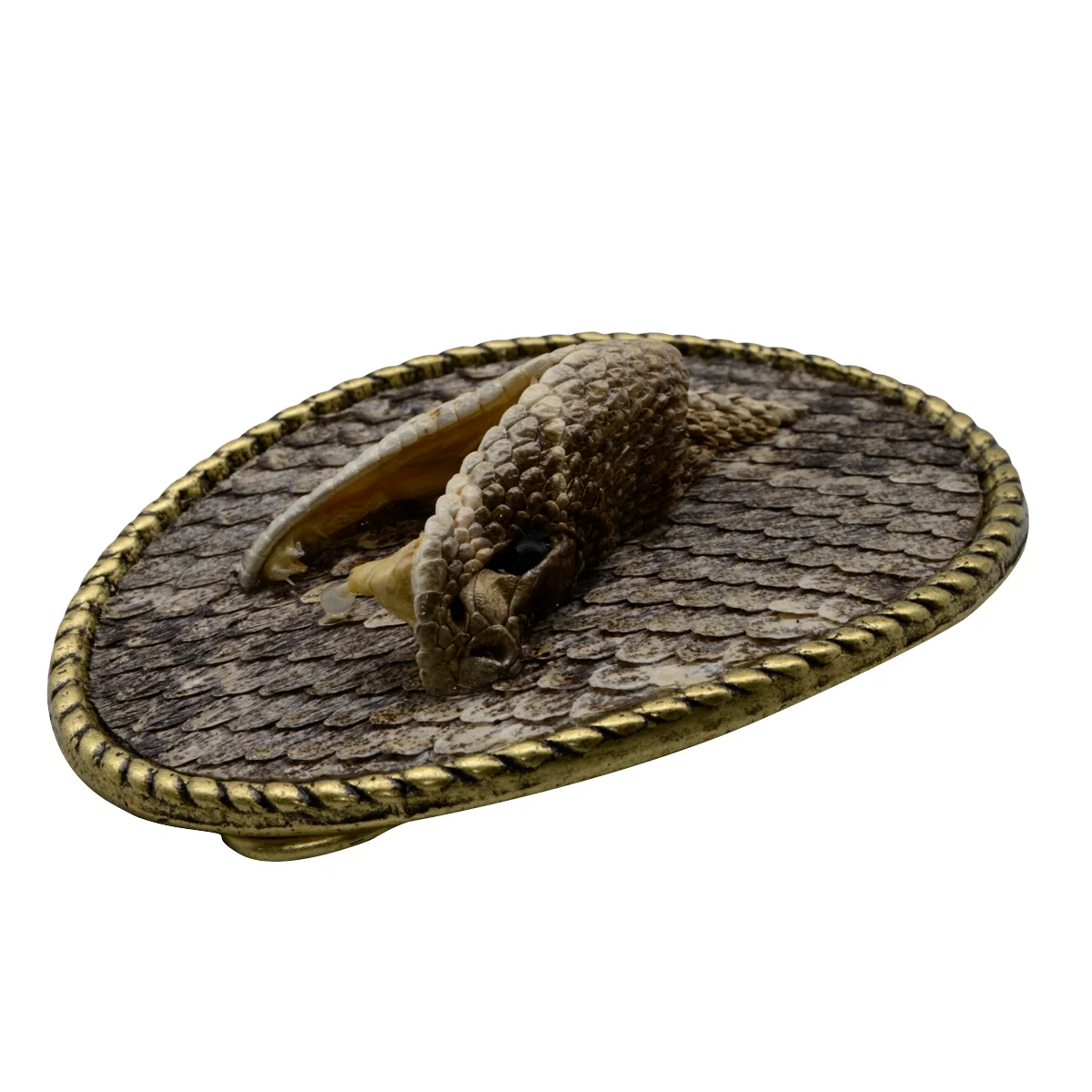 100% Real Eastern Diamondback Rattlesnake Head Hook&Loop Men's Belt Buckle - Image 4