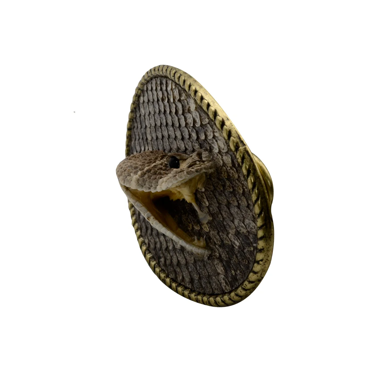 100% Real Eastern Diamondback Rattlesnake Head Hook&Loop Men's Belt Buckle - Image 5
