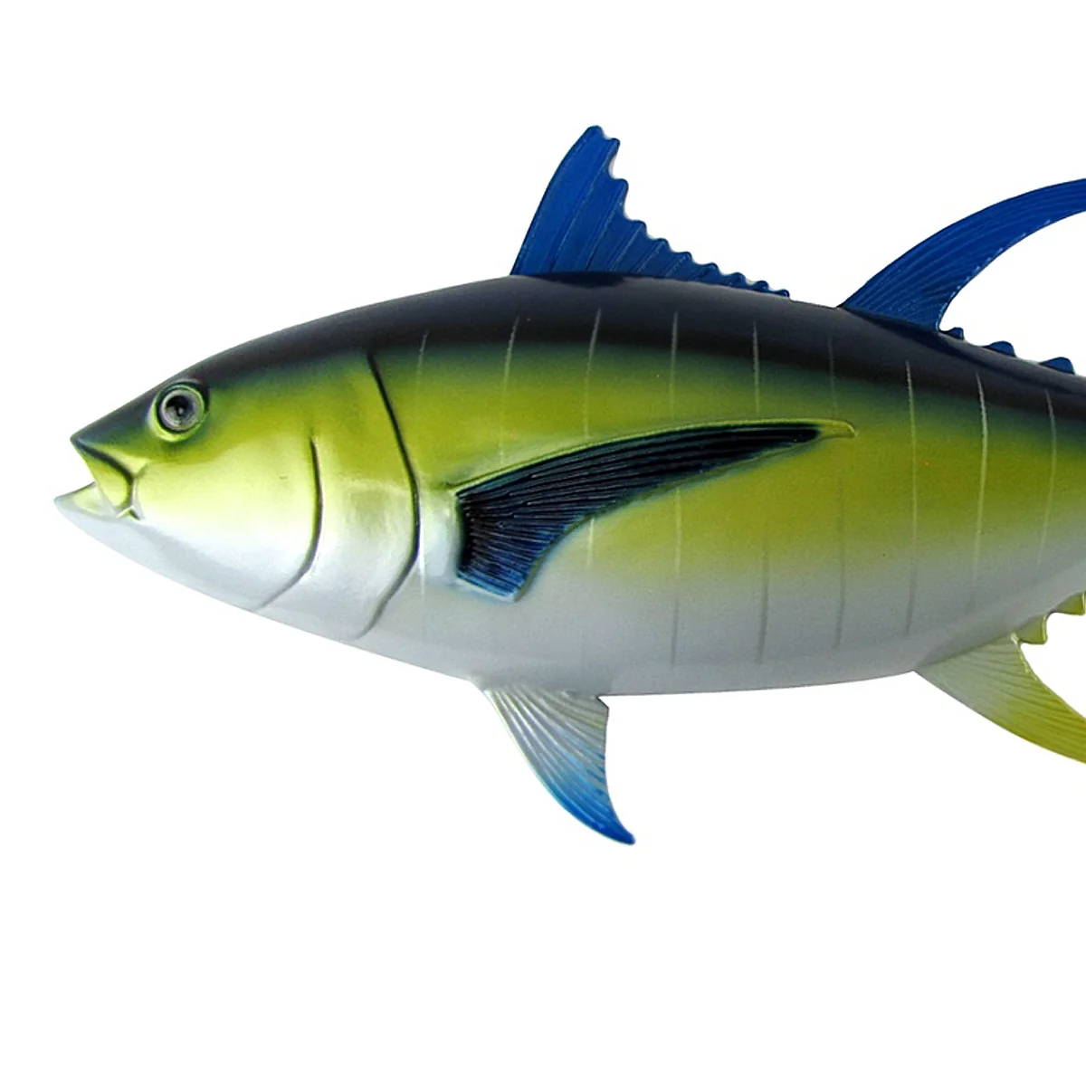 28" Bluefin Tuna Saltwater Fish Plaque Hand Paint Lifelike Wall Mount Taxidermy - Image 5