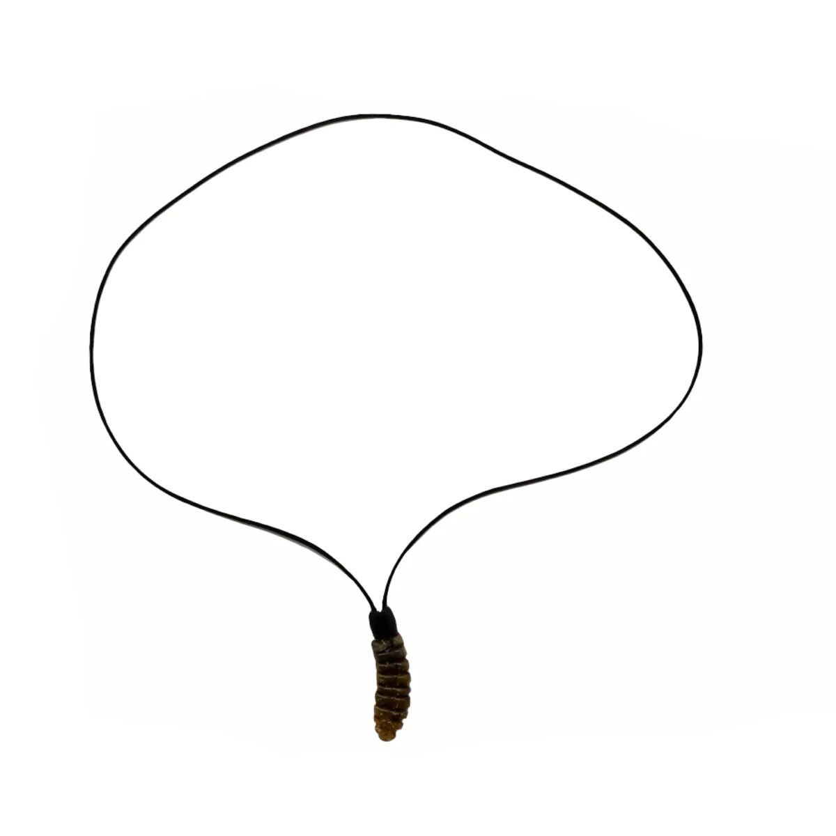 3" Real Rattlesnake Tail Rattle Pendant Leather Necklace