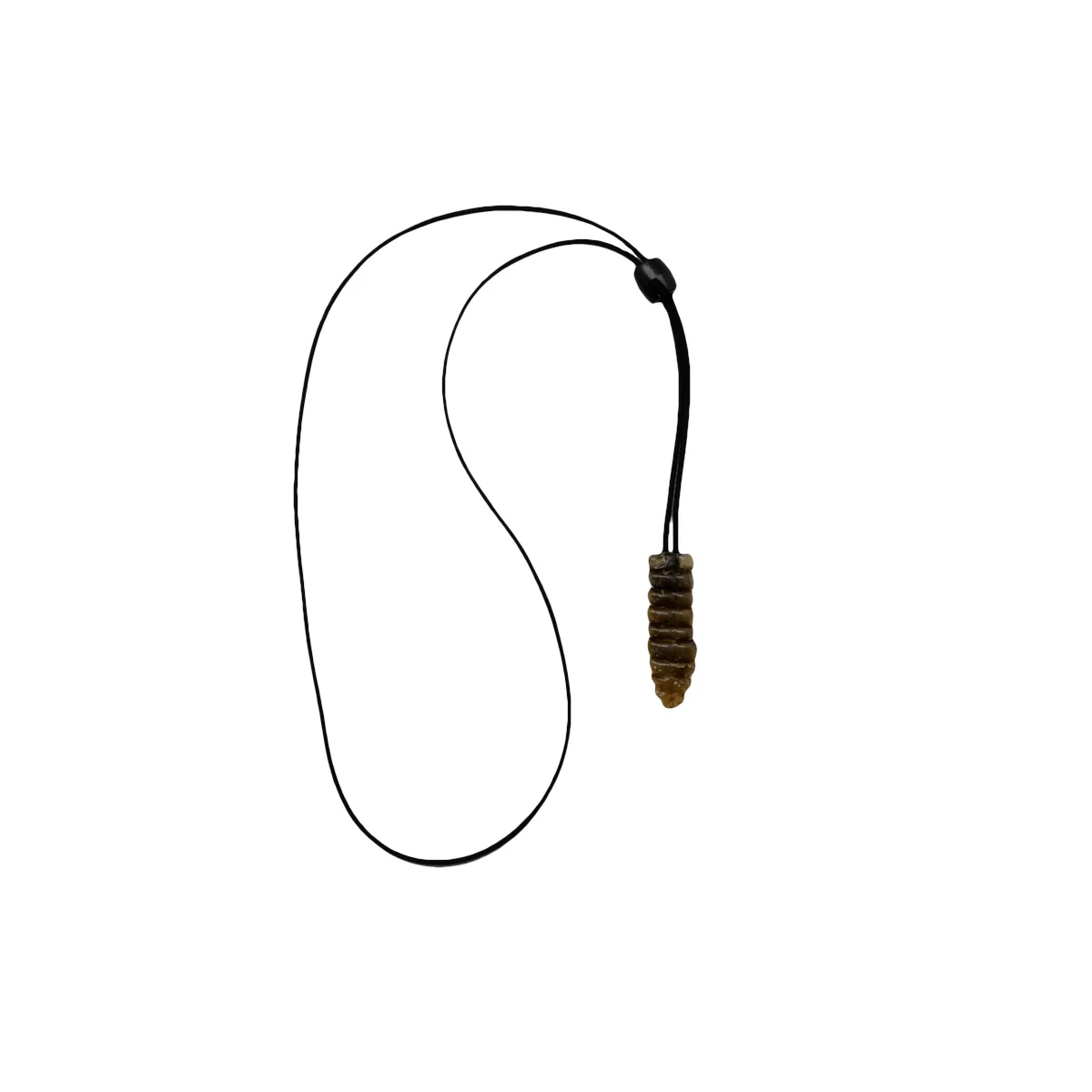 3" Real Rattlesnake Tail Rattle Pendant Leather Necklace - Image 2