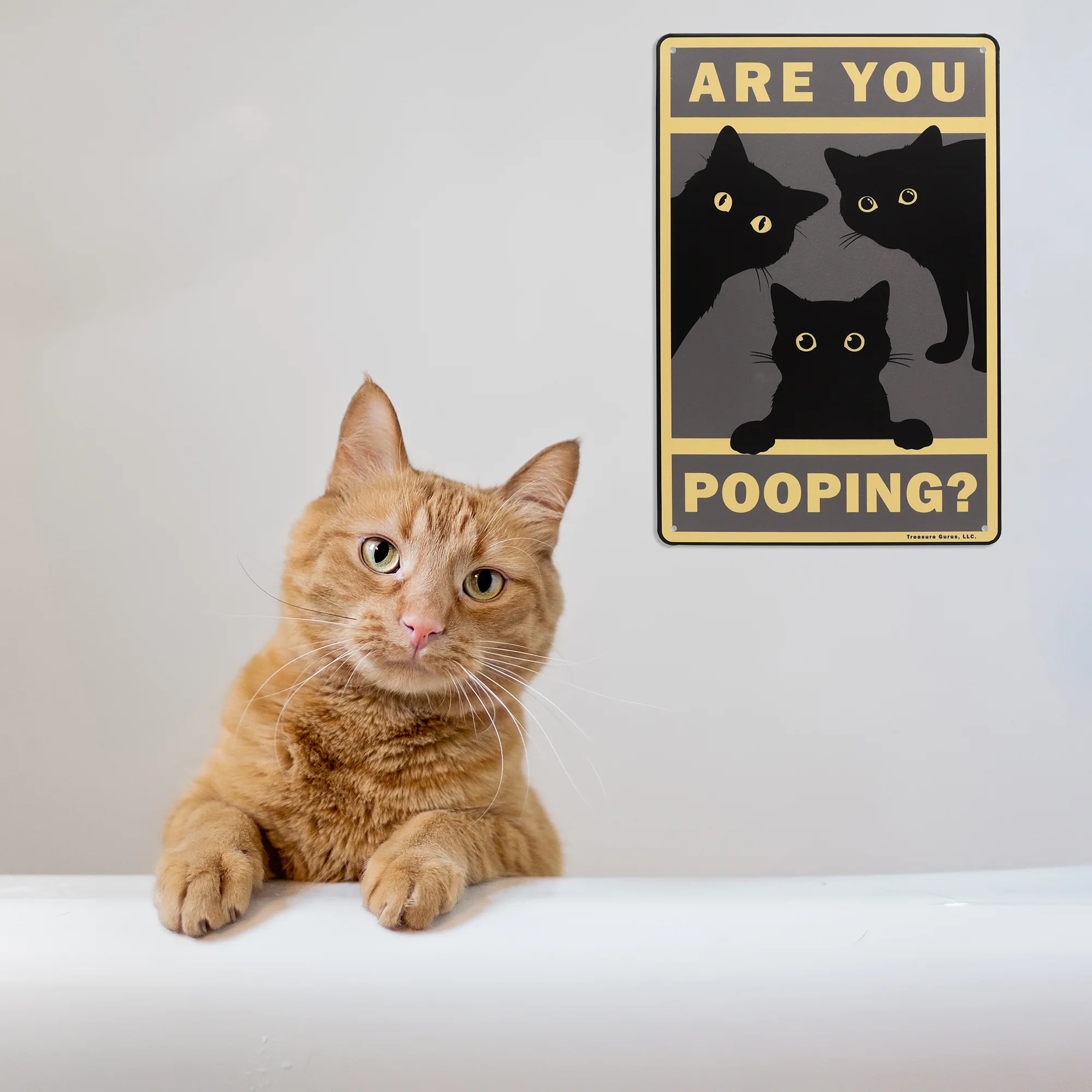 Are You Pooping Cats Restroom Sign Wall Art Vintage Black Poster Gifts Cat Lover - Image 7