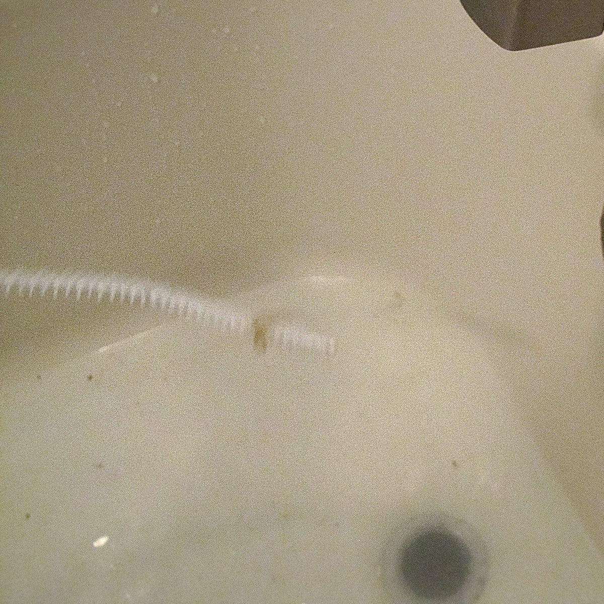 Bathroom Shower Kitchen Sink Drain Bathtub Pipe Clean Brush Clog Remover Tool - Image 5