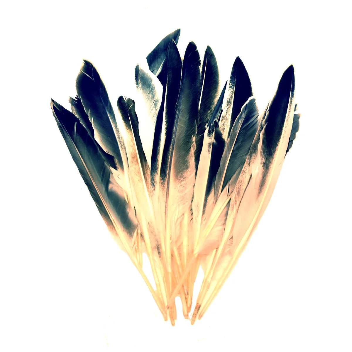 Bulk Duck Hat Crafts Feathers White Fly Tying Feather Fishing Tackle Materials
