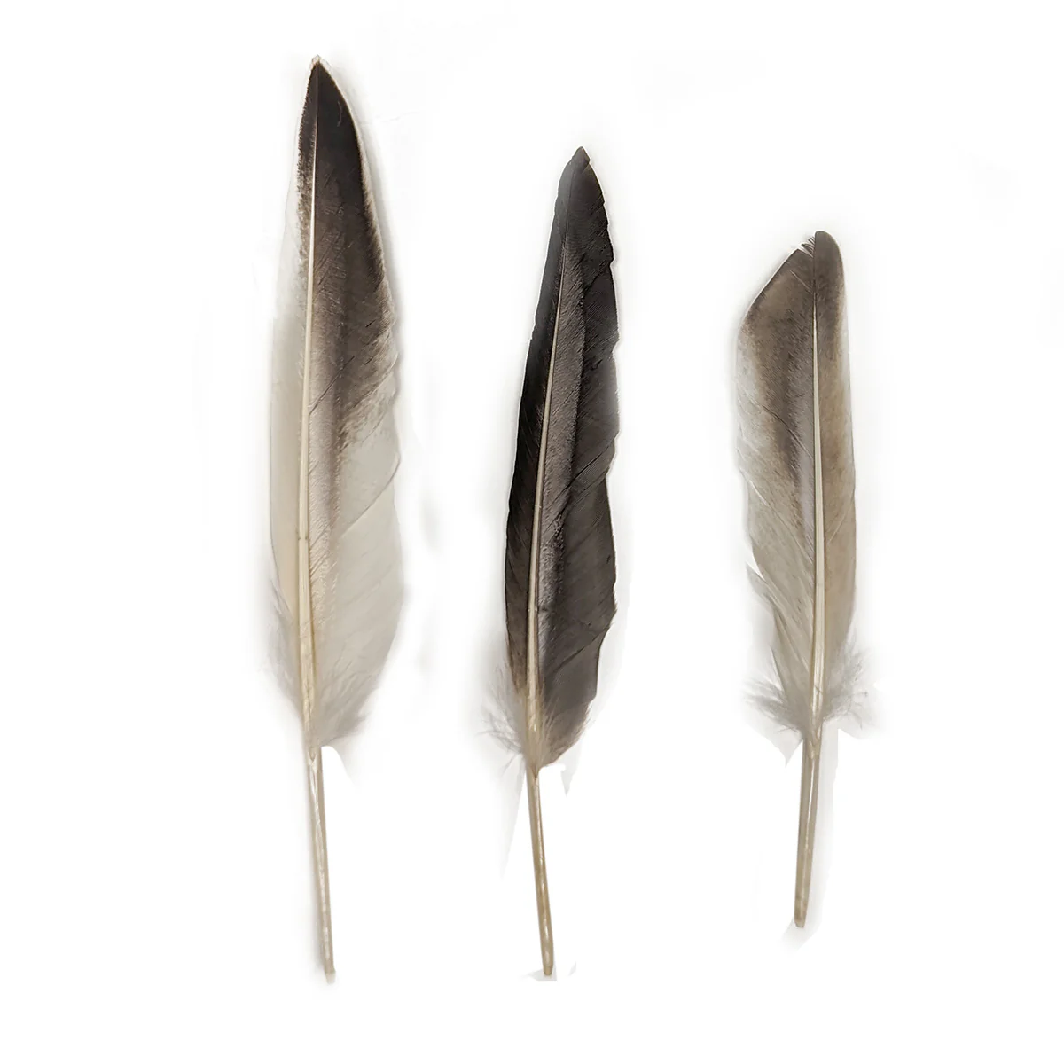 Bulk Duck Hat Crafts Feathers White Fly Tying Feather Fishing Tackle Materials - Image 3