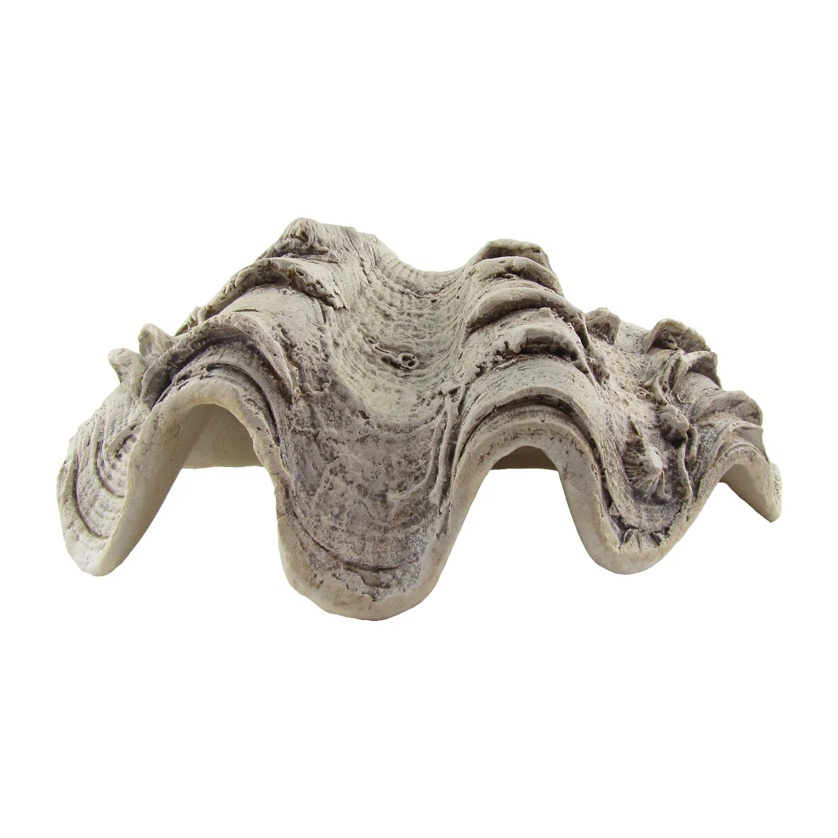 Cast Hippopus Clamshell Home Decor - Image 3