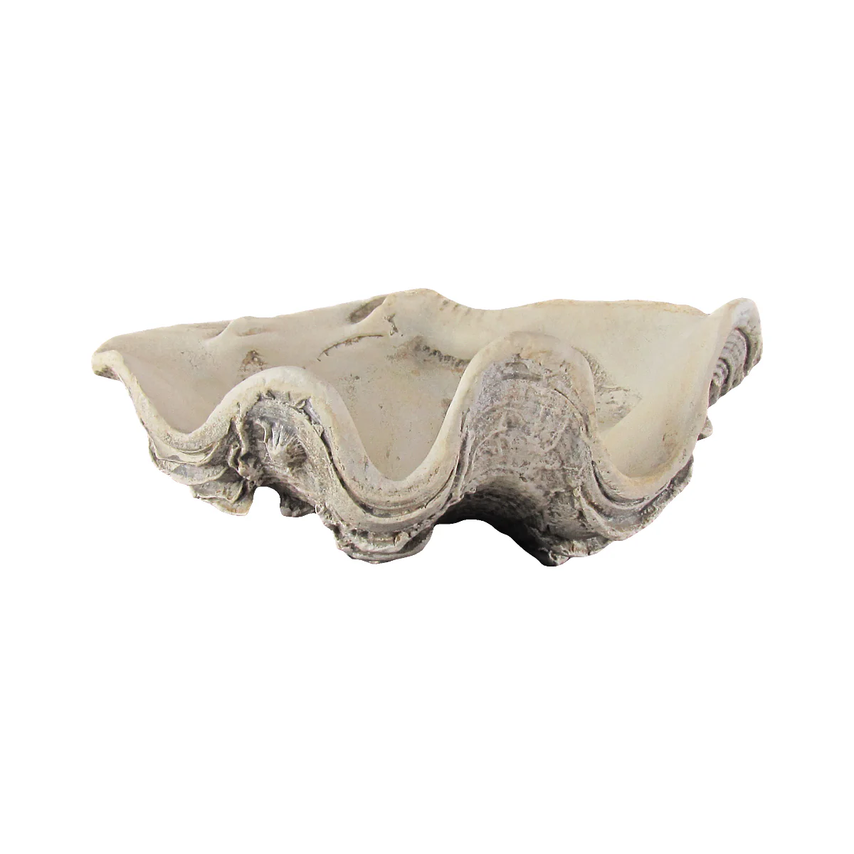 Cast Hippopus Clamshell Home Decor - Image 4