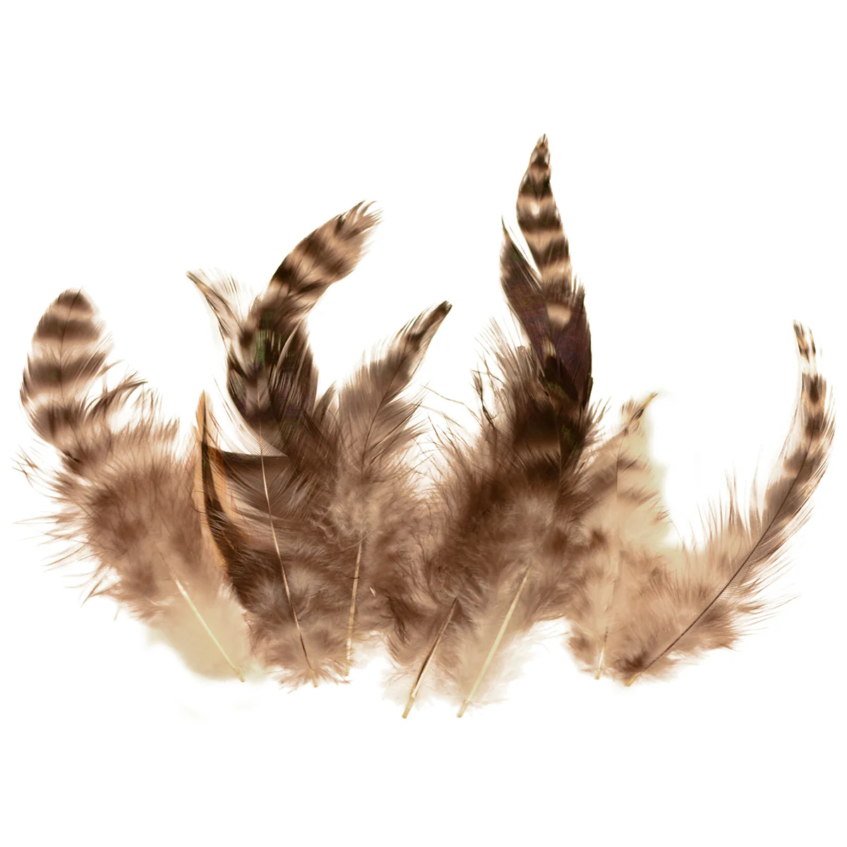 Chinchilla Hackle Hat Feathers Feather Crafts Fishing Tackle Fly Tying Materials - Image 2