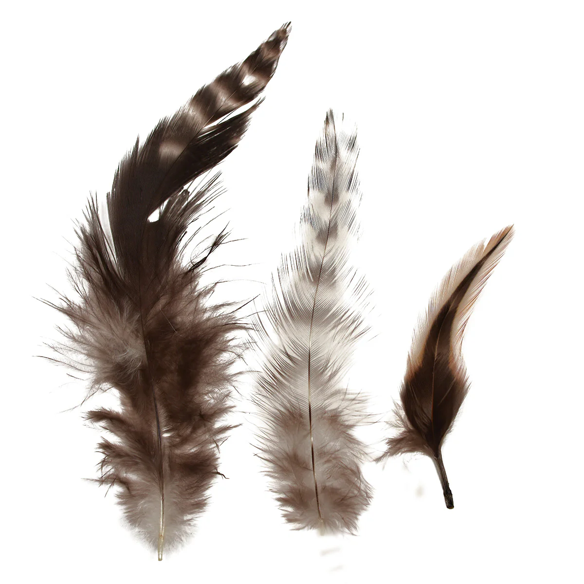 Chinchilla Hackle Hat Feathers Feather Crafts Fishing Tackle Fly Tying Materials - Image 3