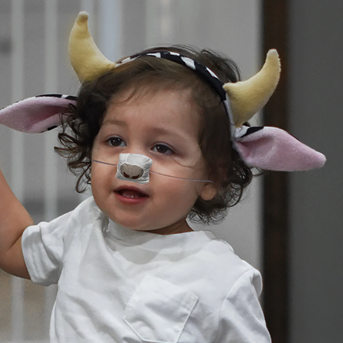 Cow Animal Dress Up Kit Ears Headband Tail Nose Cute Toddler Halloween Costume - Image 3