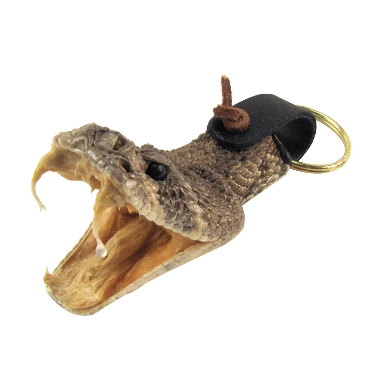 Eastern Diamondback Rattlesnake Head Keychain