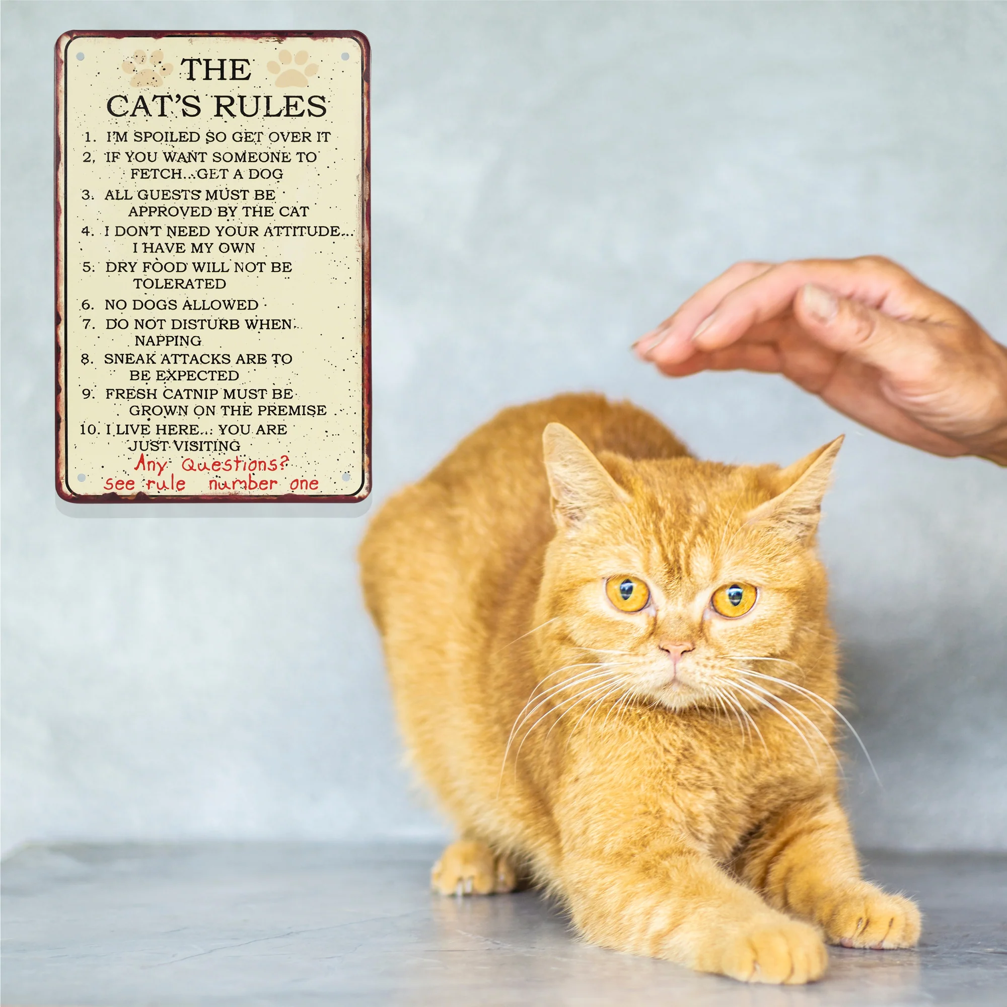Funny Cat's 10 Rules Sign Metal Wall Art Room Home Decor Pet House Accessories - Image 8