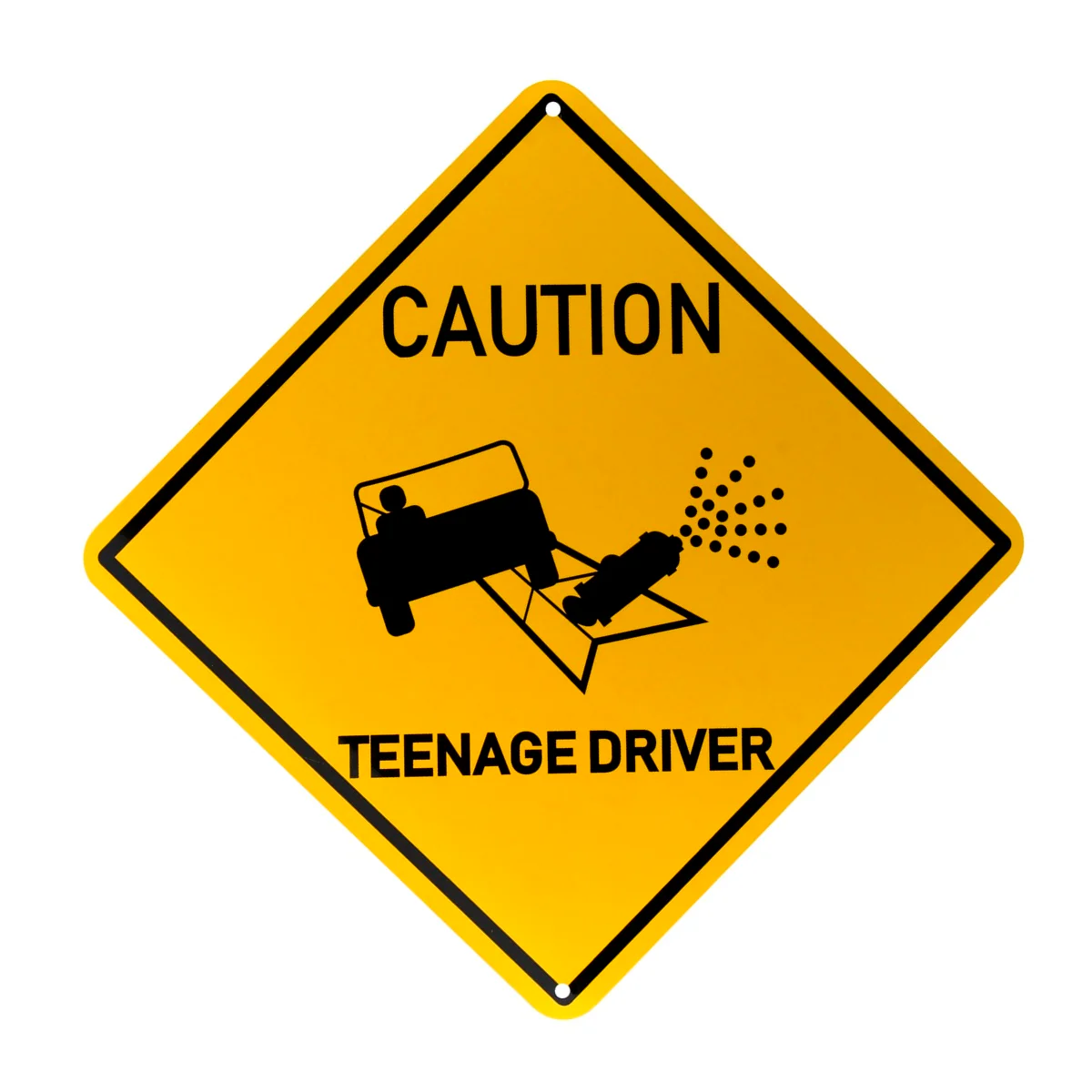 Funny Caution Teenage Driver Street Sign Novelty Metal Bedroom Door Wall Decor