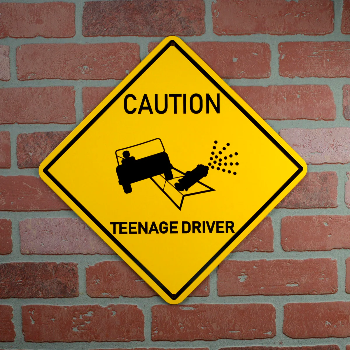 Funny Caution Teenage Driver Street Sign Novelty Metal Bedroom Door Wall Decor - Image 2