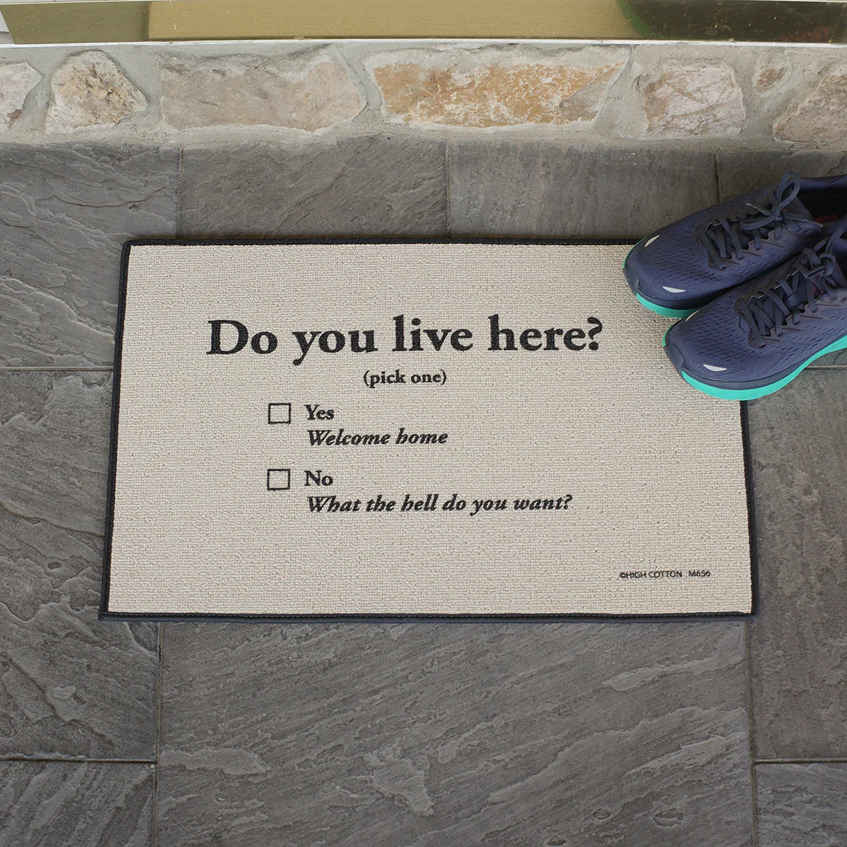Funny Do you Live Here? Outdoor Doormat Novelty Floor Rug Front Door Welcome Mat - Image 4