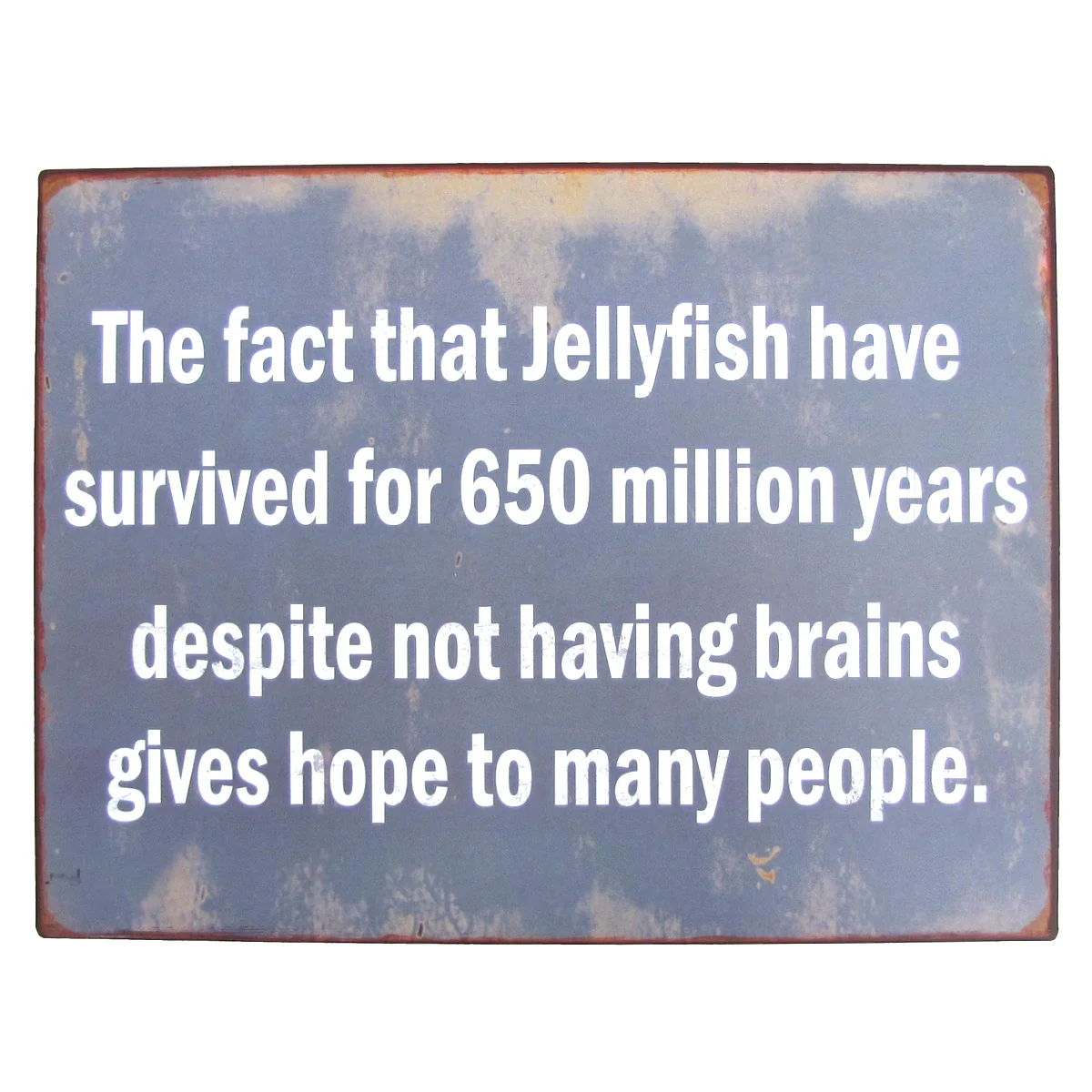 Funny Jellyfish Brains Metal Sign Novelty Coastal Home Beach Bar Pub Wall Decor
