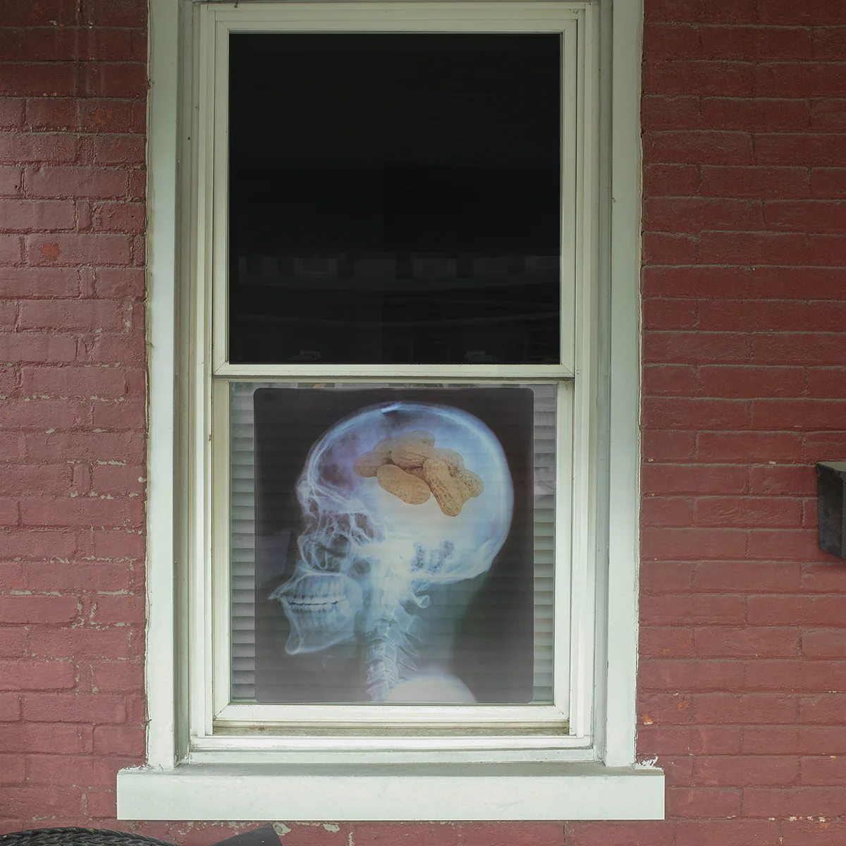 Funny Medical Xray Images Set of 4 Halloween Window Decor Human Skeleton Decal - Image 2