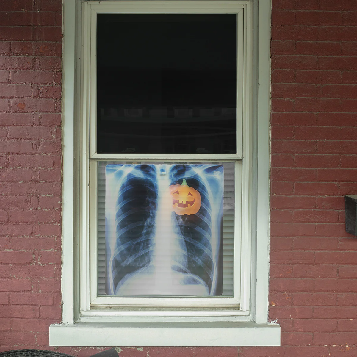 Funny Medical Xray Images Set of 4 Halloween Window Decor Human Skeleton Decal - Image 4