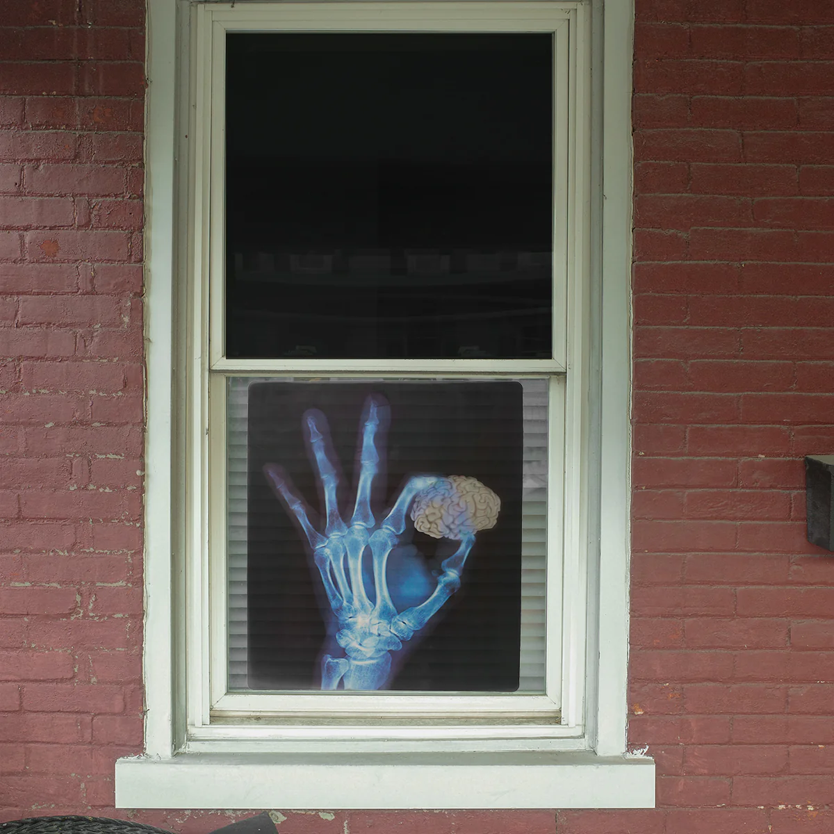 Funny Medical Xray Images Set of 4 Halloween Window Decor Human Skeleton Decal - Image 5