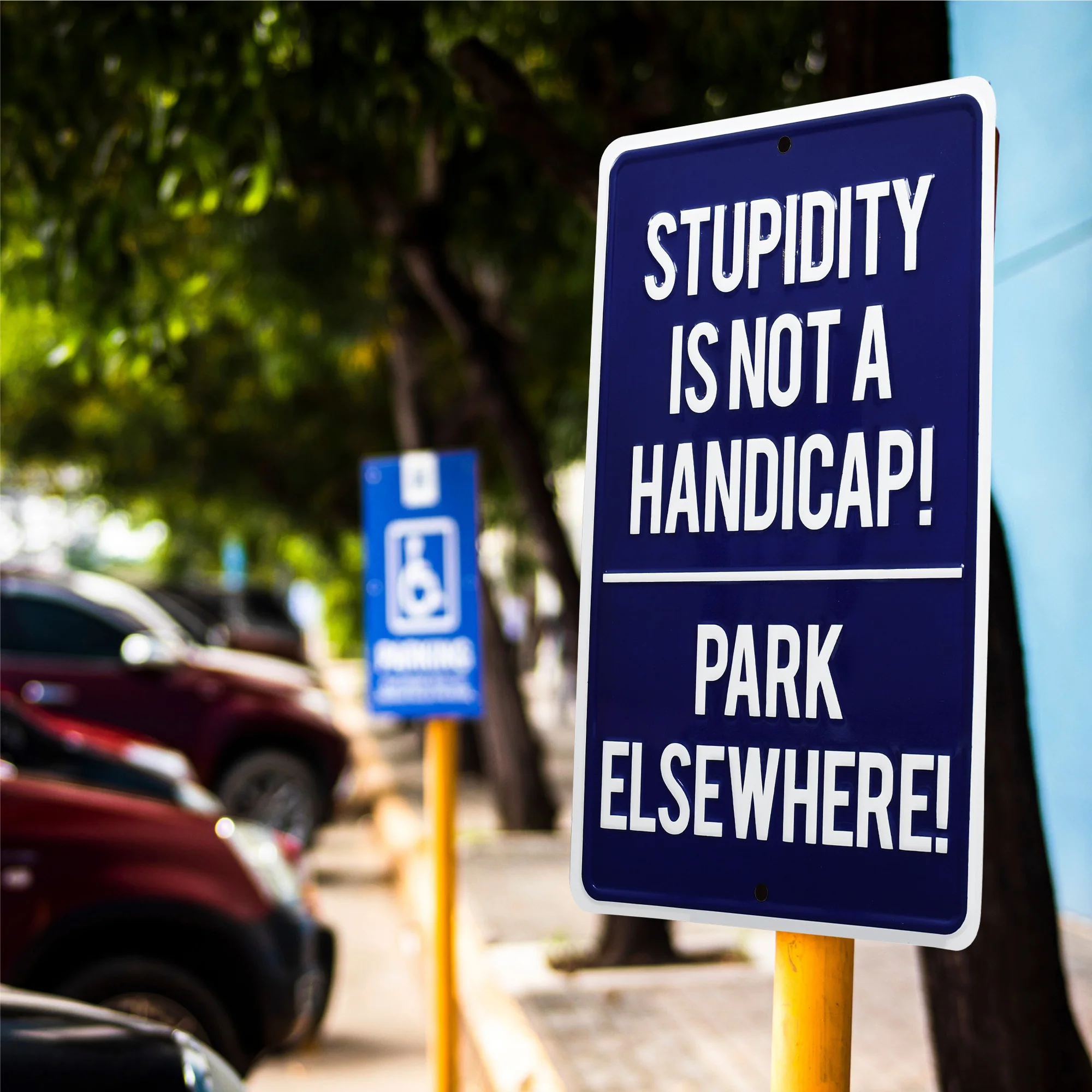 Metal Stupidity Is Not A Handicap Park Elsewhere Sign for Garage, Man Cave Decor - Image 6