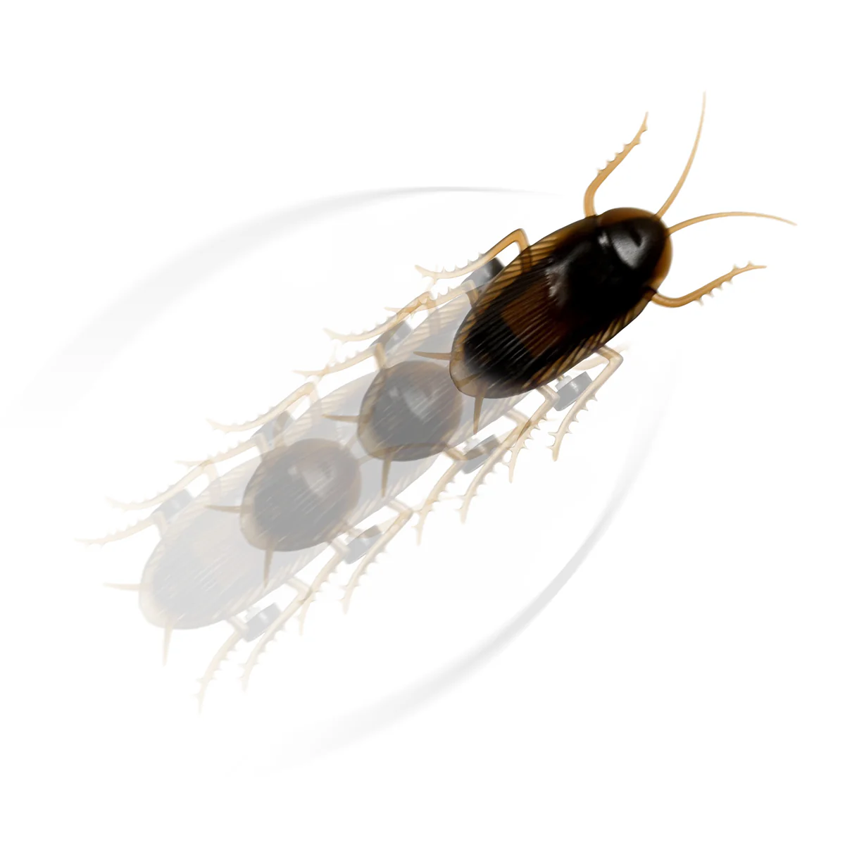 Funny Running Cockroach Practical Joke Pest Novelty Fake Roach Fun Prank Bug Gag - Image 2