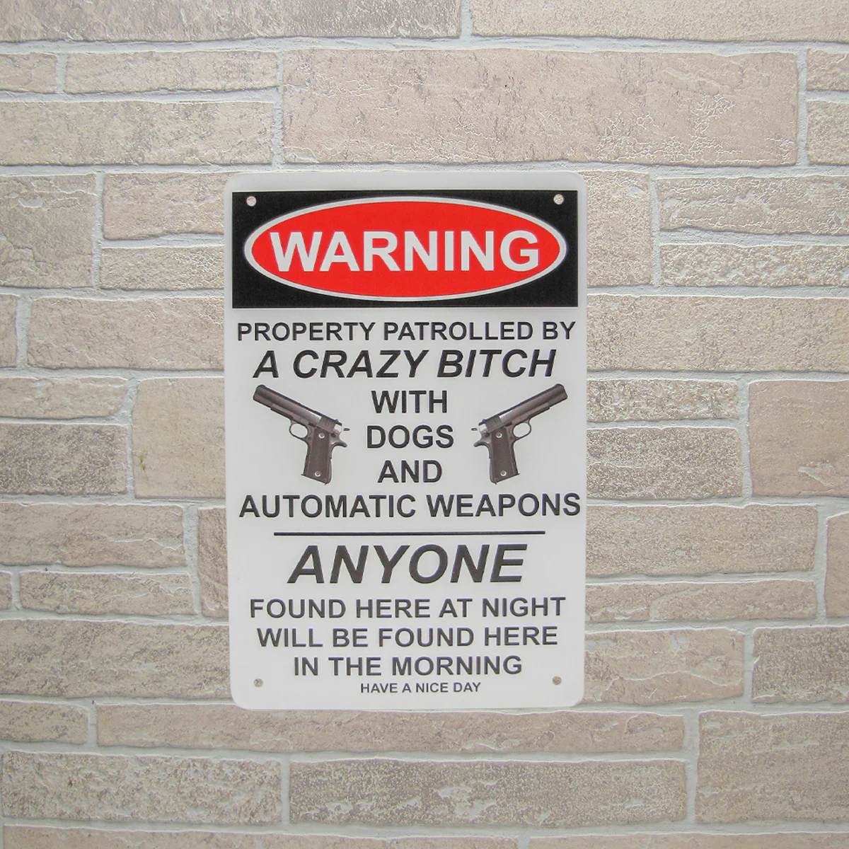 Funny Warning Property Gun Owner Dogs Weapons Metal Home Decor Yard Art Tin Sign - Image 3