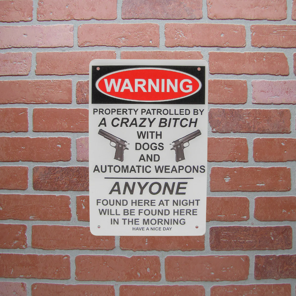 Funny Warning Property Gun Owner Dogs Weapons Metal Home Decor Yard Art Tin Sign - Image 4