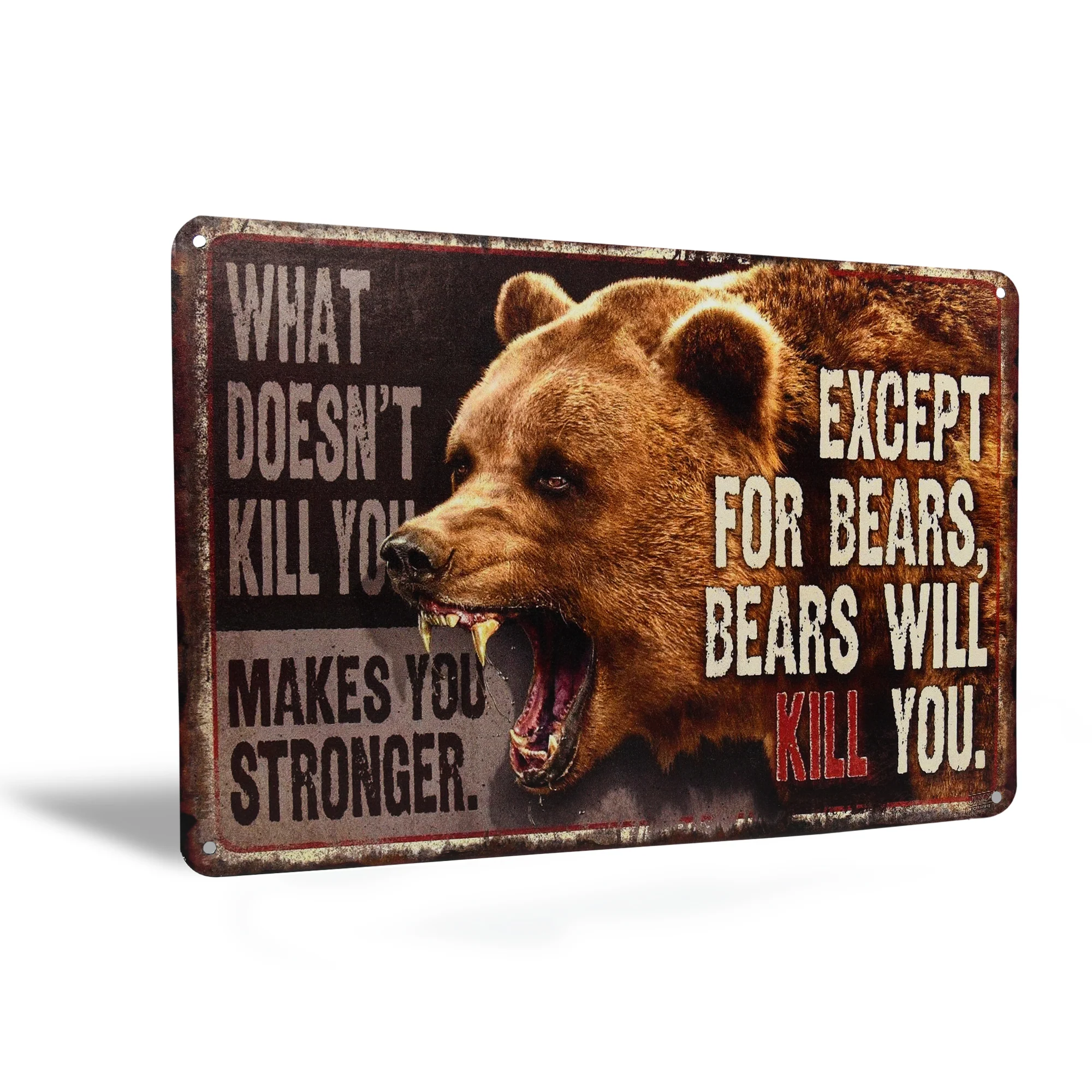 Funny What Doesn't Kill You Makes Stronger Except Bears Will Kil Sign Wall Decor