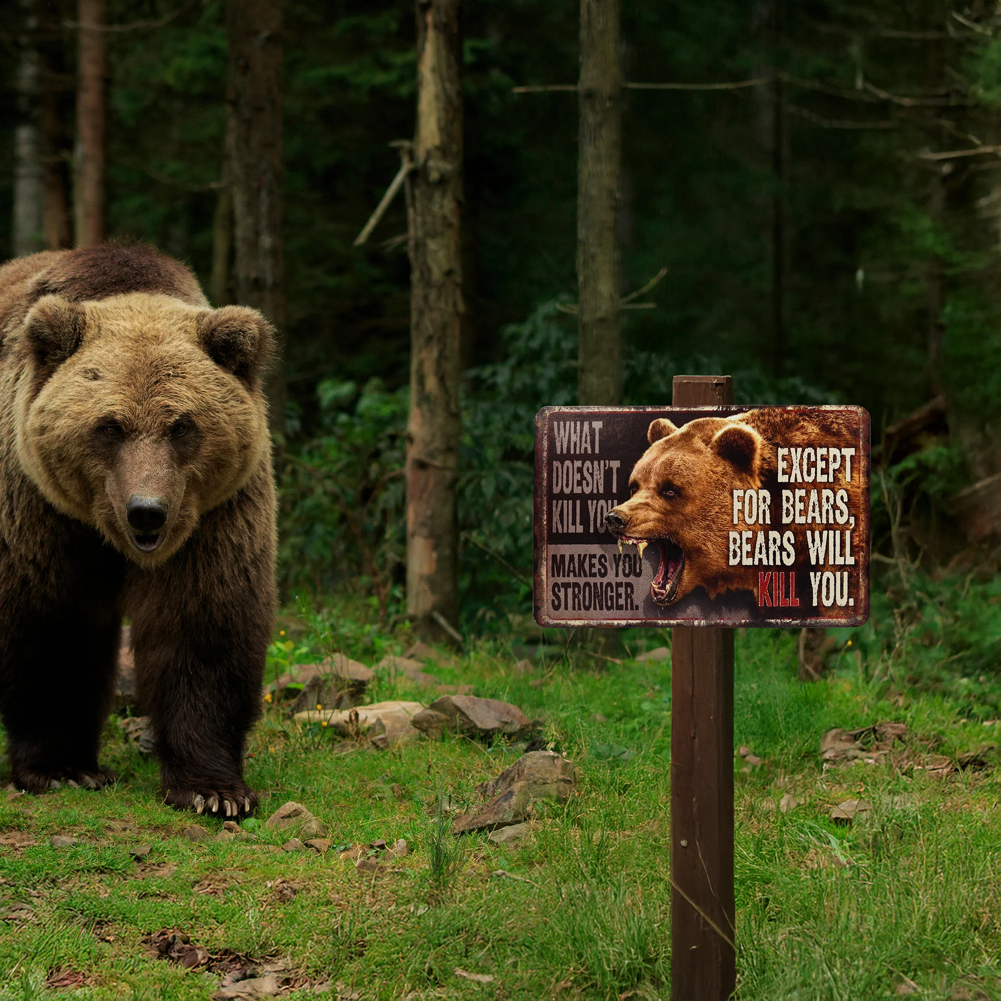 Funny What Doesn't Kill You Makes Stronger Except Bears Will Kil Sign Wall Decor - Image 6