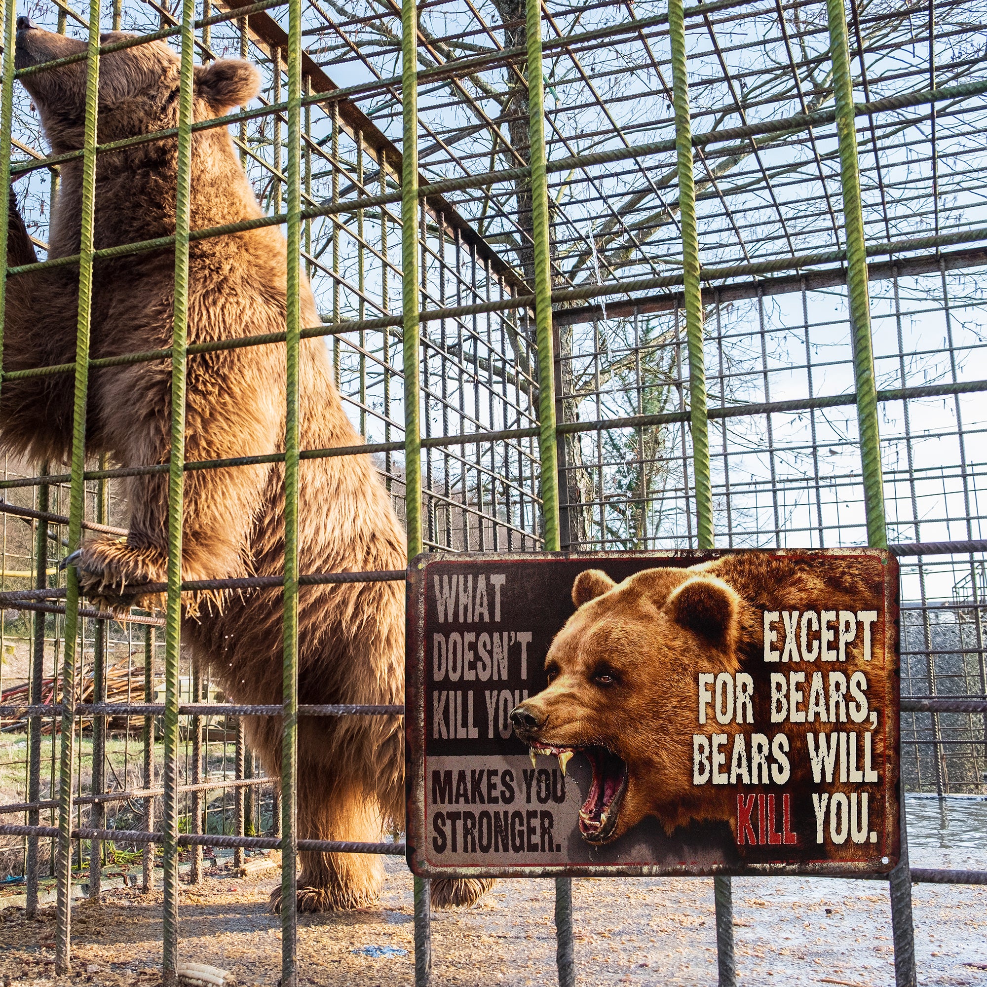 Funny What Doesn't Kill You Makes Stronger Except Bears Will Kil Sign Wall Decor - Image 7