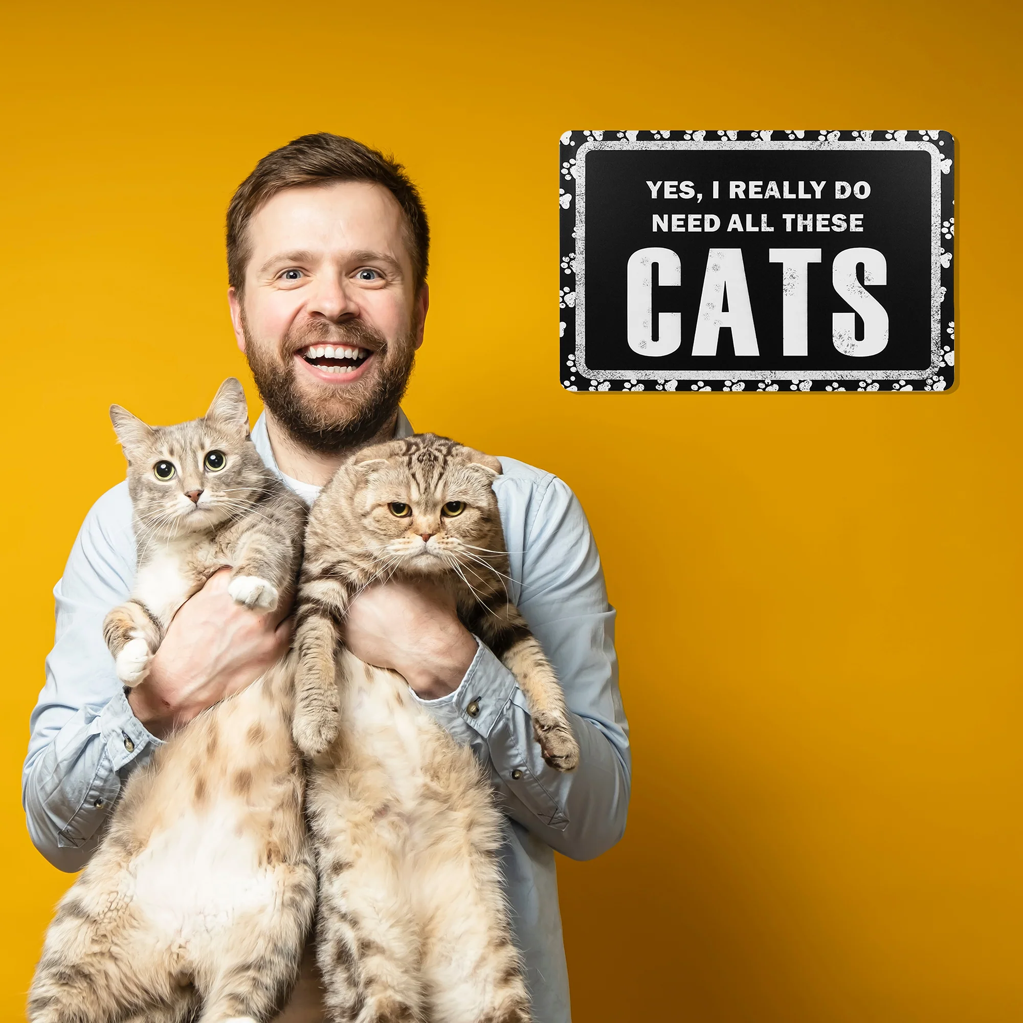 Funny Yes I Really Do Need All These Cats Sign Wall Art Living Room Home Decor - Image 6