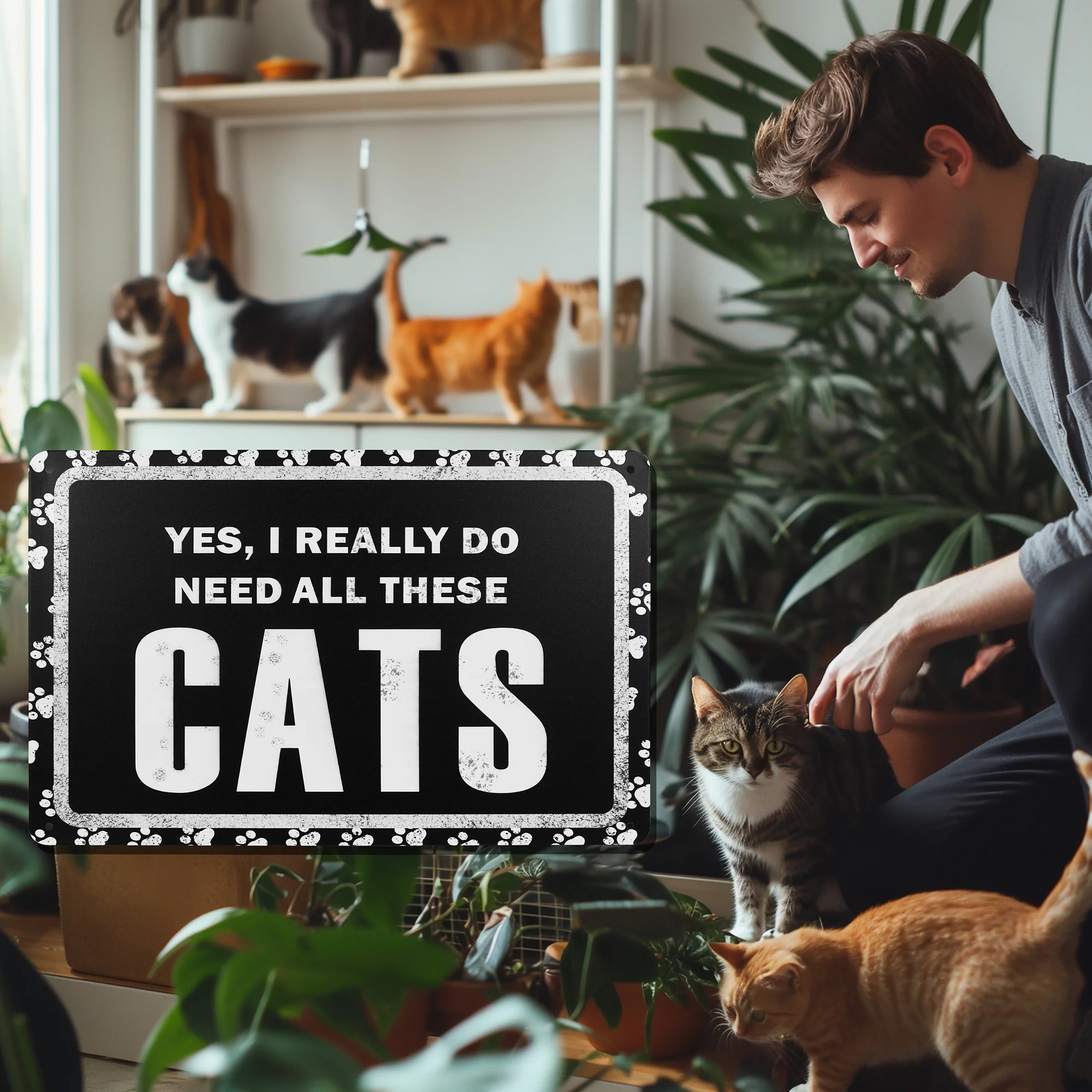 Funny Yes I Really Do Need All These Cats Sign Wall Art Living Room Home Decor - Image 7