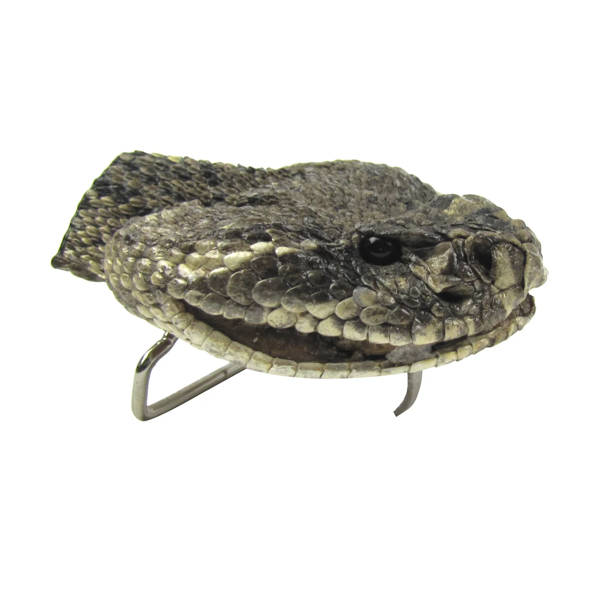 Genuine Taxidermy Rattlesnake Head Belt Buckle Real Snake Skin Cloth Accessory - Image 4