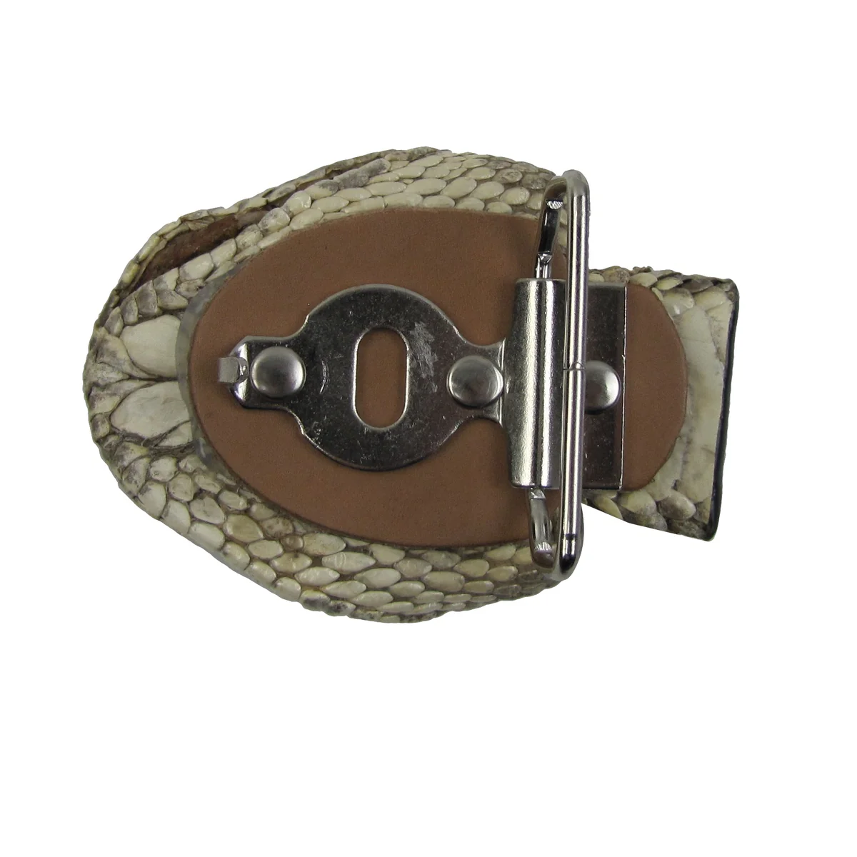 Genuine Taxidermy Rattlesnake Head Belt Buckle Real Snake Skin Cloth Accessory - Image 5
