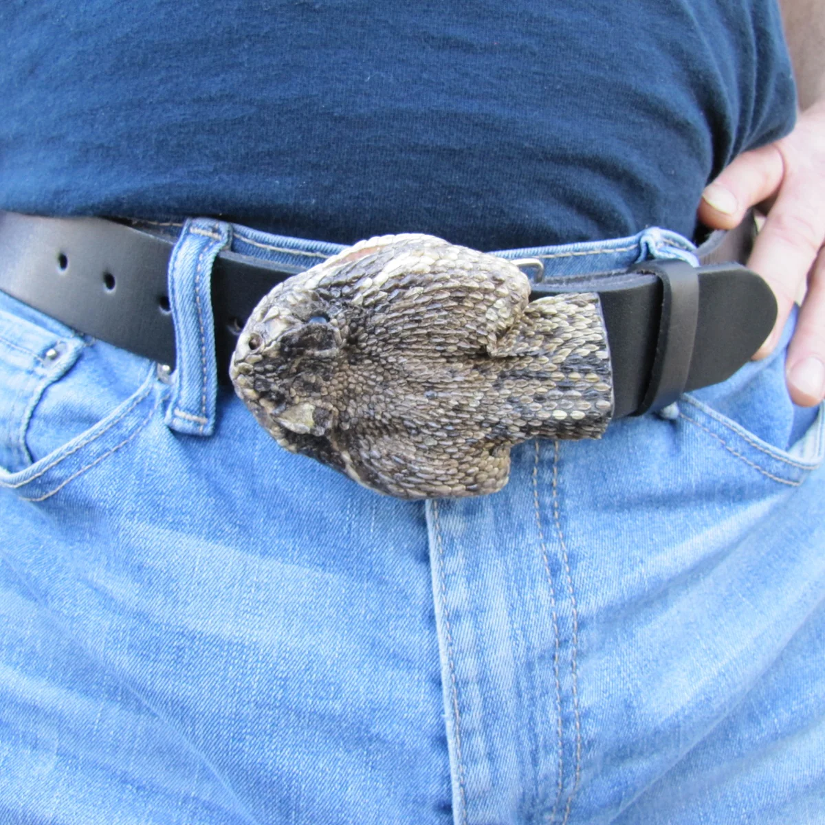 Genuine Taxidermy Rattlesnake Head Belt Buckle Real Snake Skin Cloth Accessory - Image 6