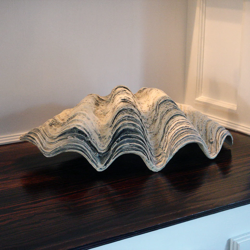GIANT 22" Twenty Two Inch CLAM SHELL Tridacna Gigas Seashell - Image 4