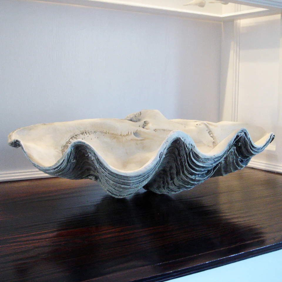 GIANT 22" Twenty Two Inch CLAM SHELL Tridacna Gigas Seashell - Image 5