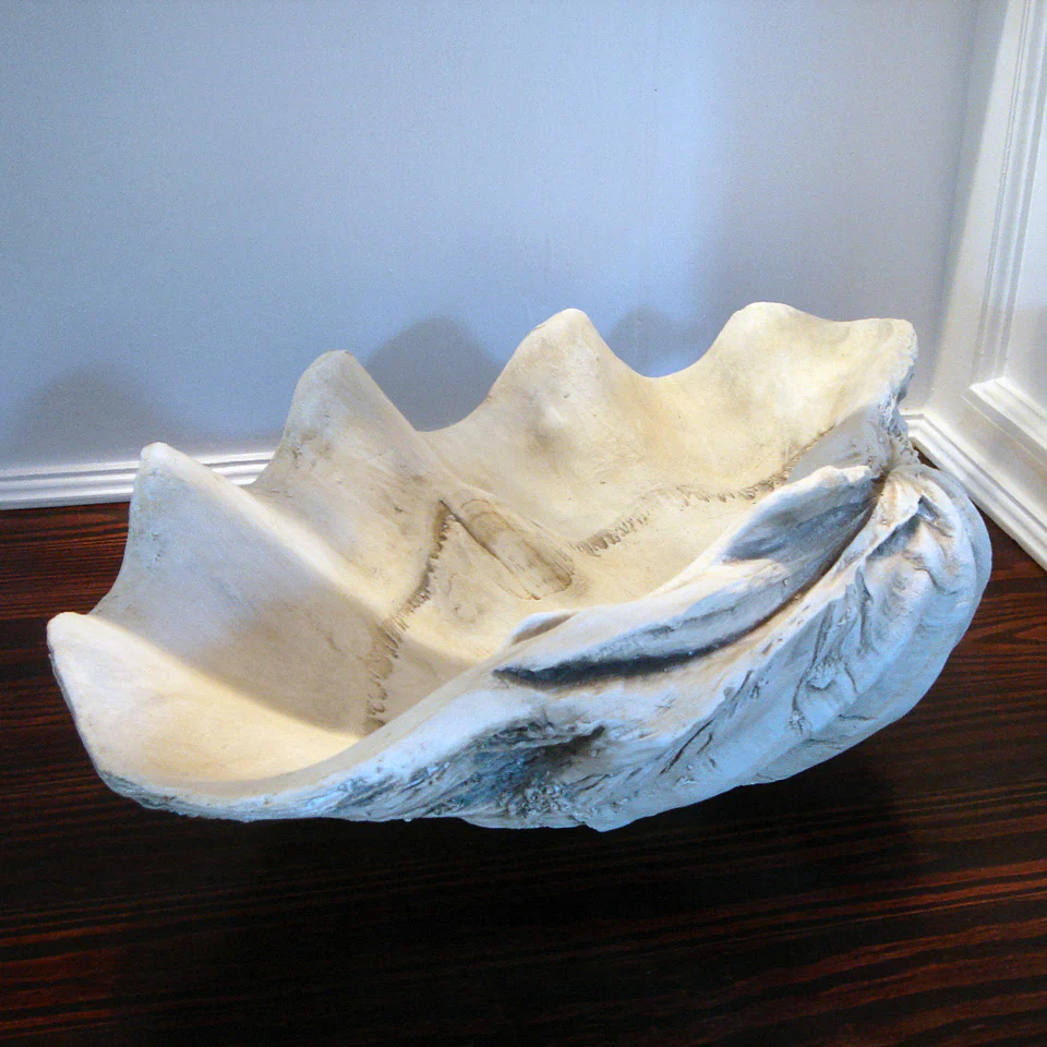 GIANT 22" Twenty Two Inch CLAM SHELL Tridacna Gigas Seashell - Image 6