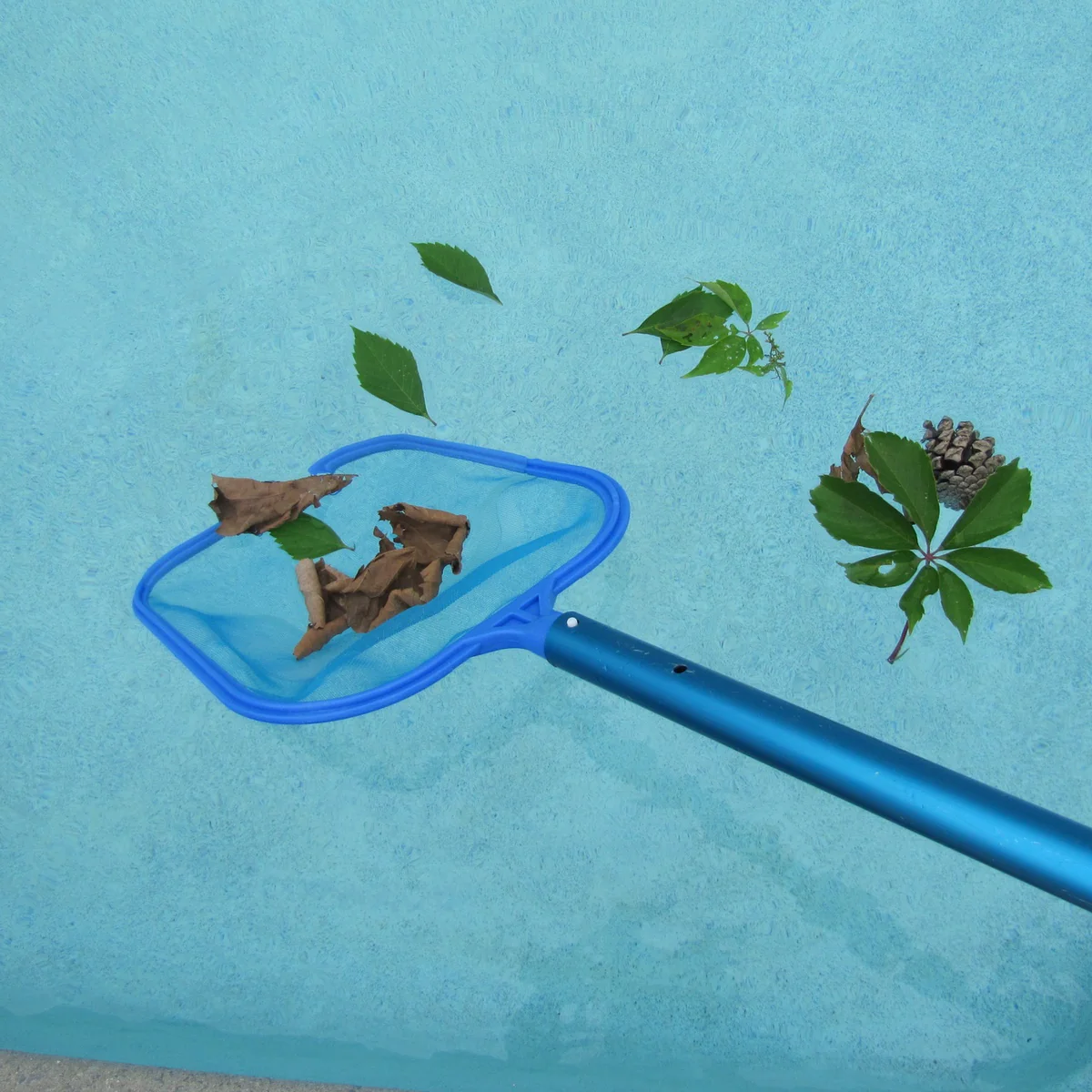 Swimming Pool Skimmer Leaf Net Above Ground Pool Cleaning Supplies Accessories - Image 6