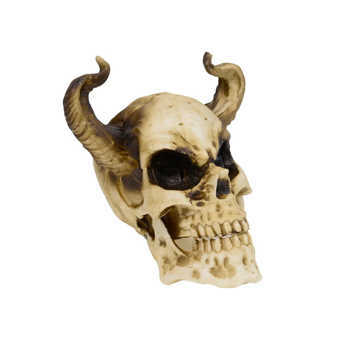 Horned Devil Human Skull Skeleton Head Moving Jaw Indoor Halloween Party Decor