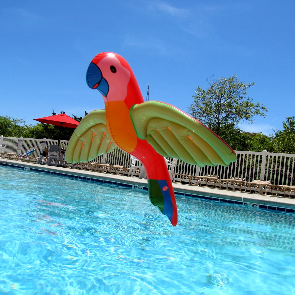 Inflatable Parrot Fun Bird Blow Up Pool Float Hawaiian Luau Party Tiki Bar Decor - Image 5