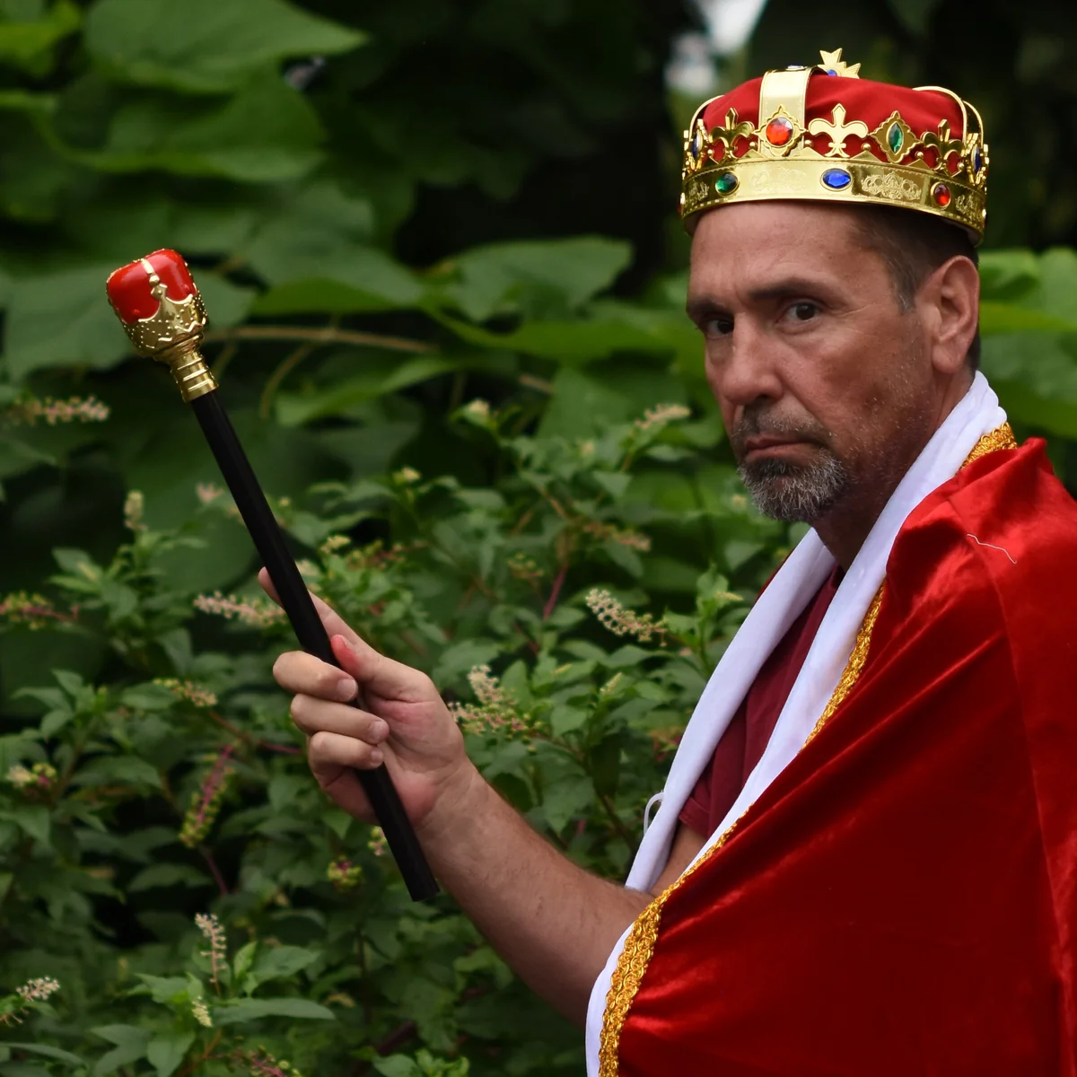 King Scepter Royal Staff Crown Wand Cosplay Halloween Party Costume Accessory - Image 4