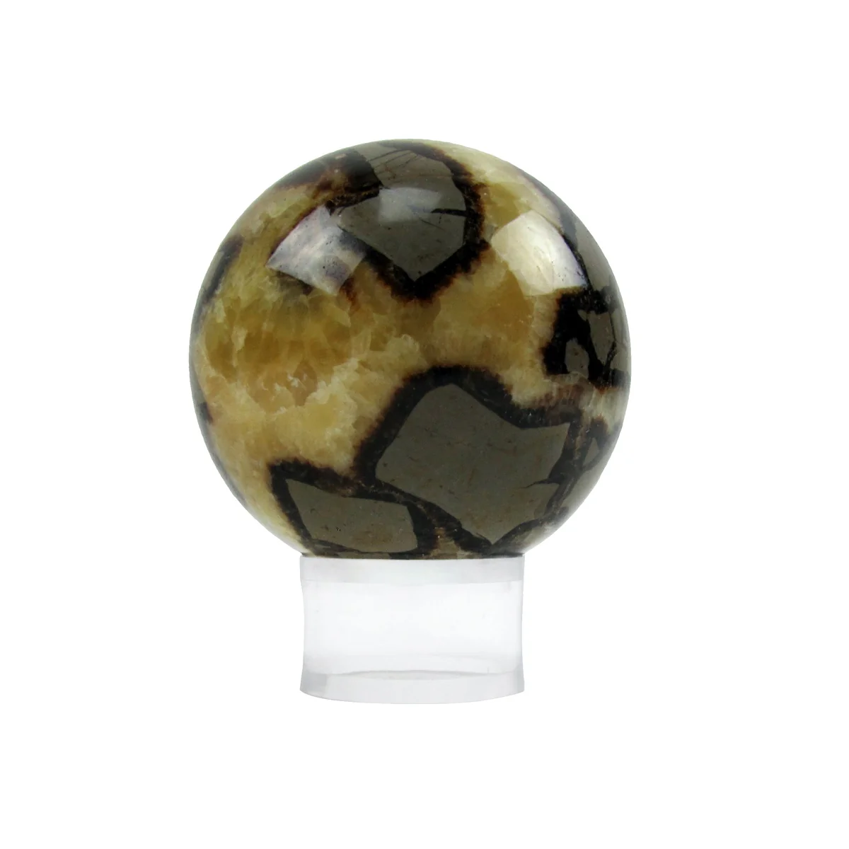 Large Clear Acrylic Ring Sphere Display Stand Golf Ball Holder Riser Marble Rack - Image 3