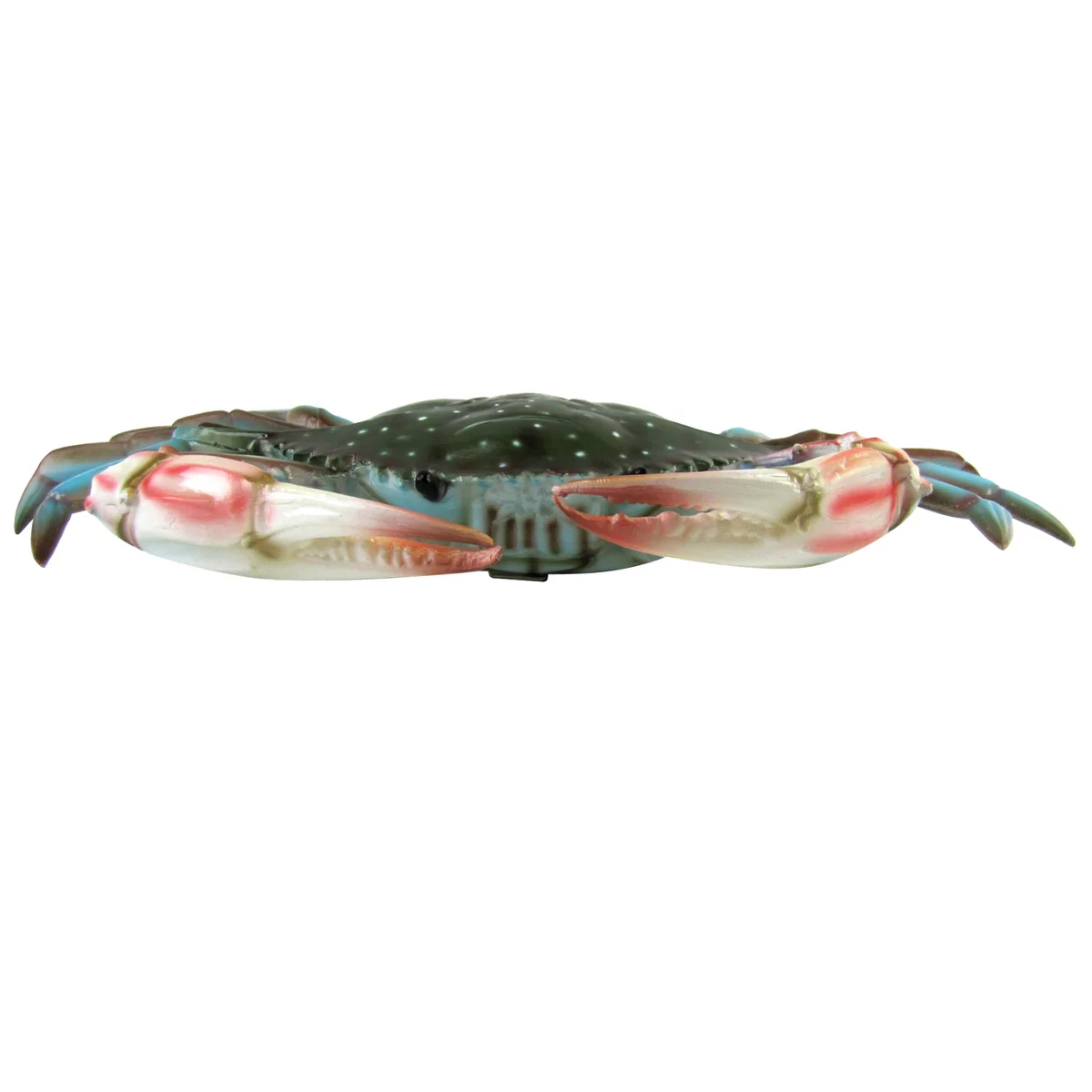 Large Lifelike Maryland Blue Crab Nautical Wall Plaque Coastal Tiki Bar Decor - Image 3