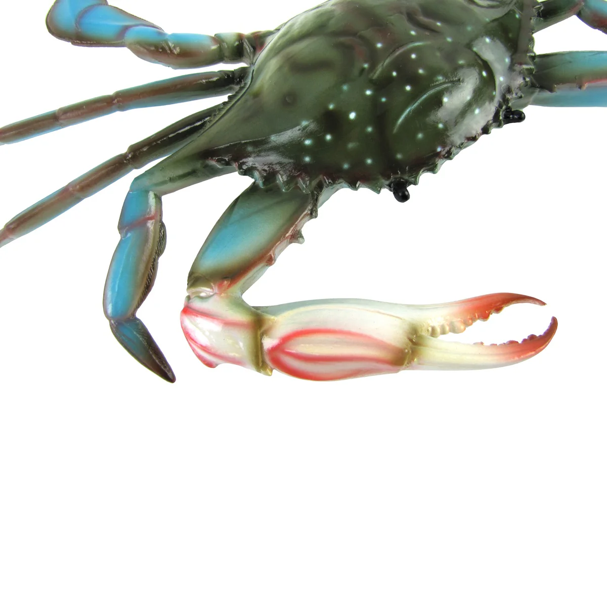 Large Lifelike Maryland Blue Crab Nautical Wall Plaque Coastal Tiki Bar Decor - Image 5