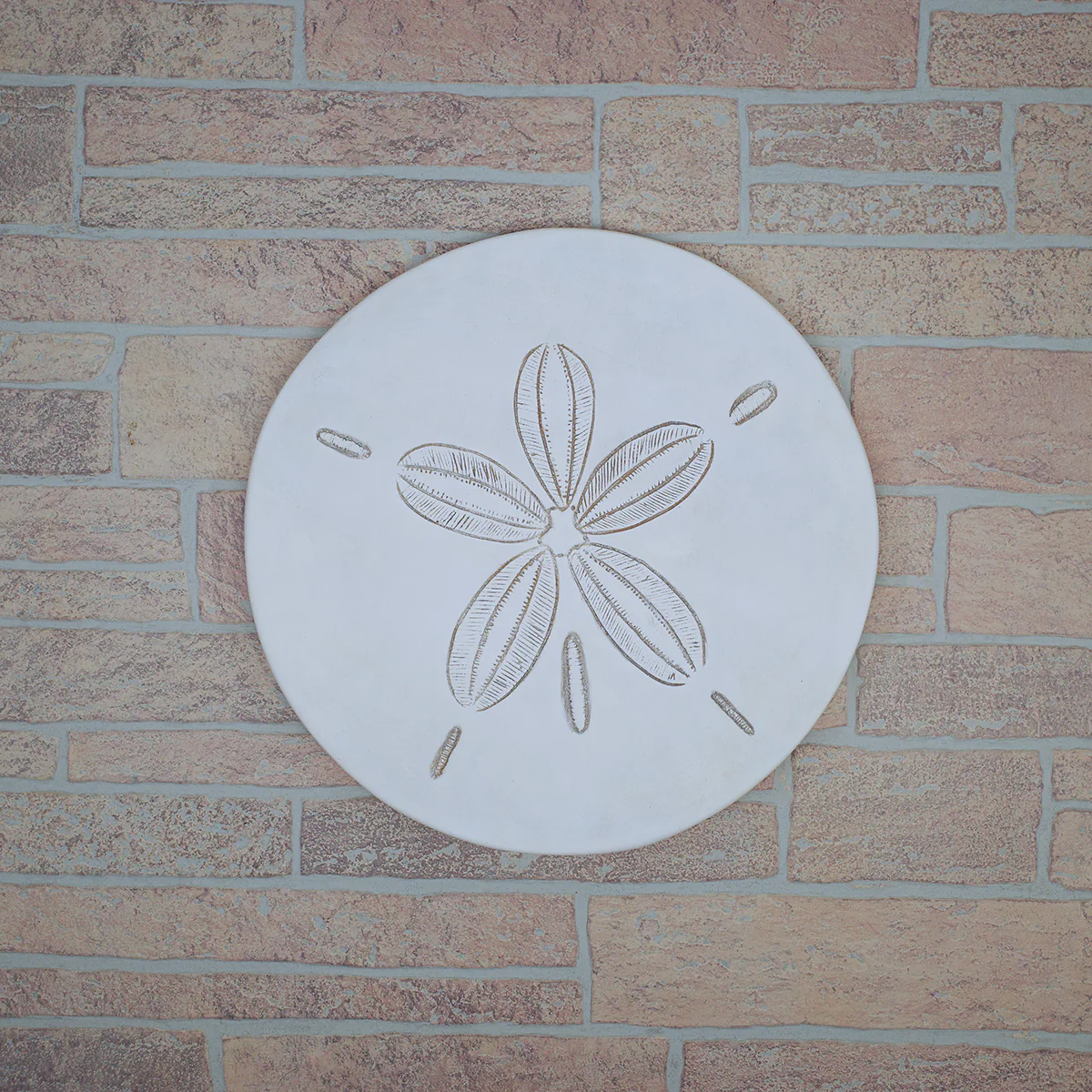 Large Sand Dollar Wall Art - Image 3